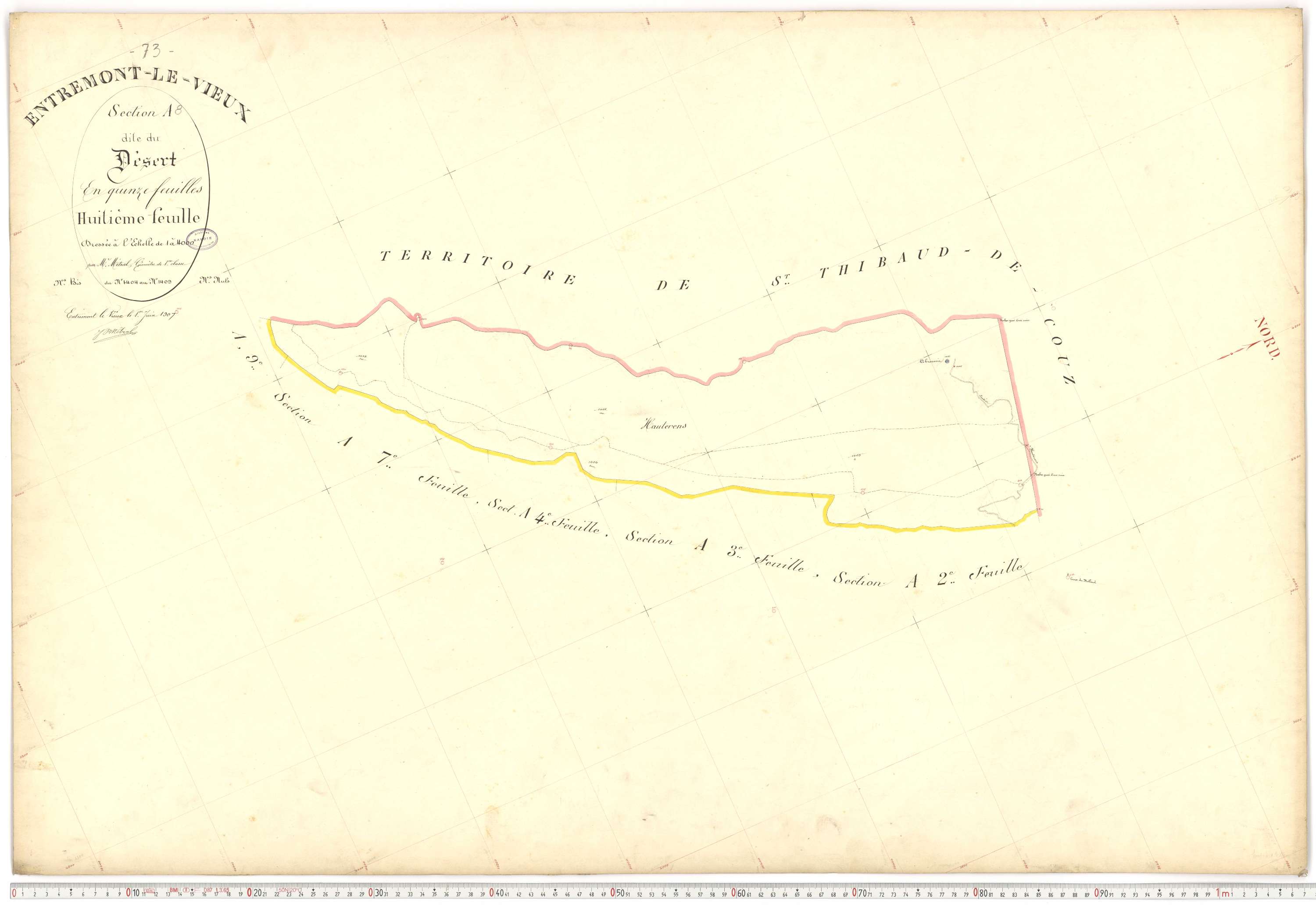 Entremont-le-Vieux - Cadastre français (1907).