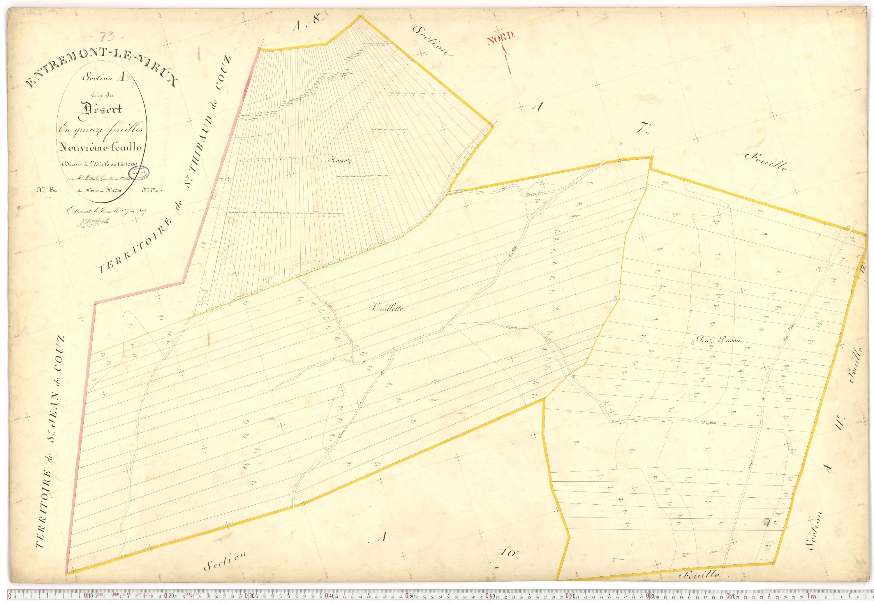 Entremont-le-Vieux - Cadastre français (1907).