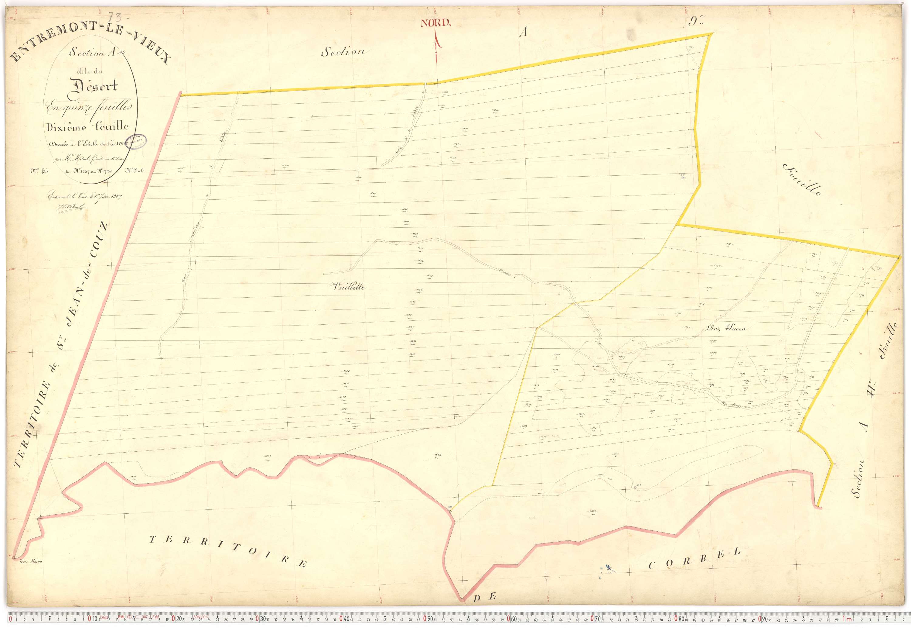 Entremont-le-Vieux - Cadastre français (1907).