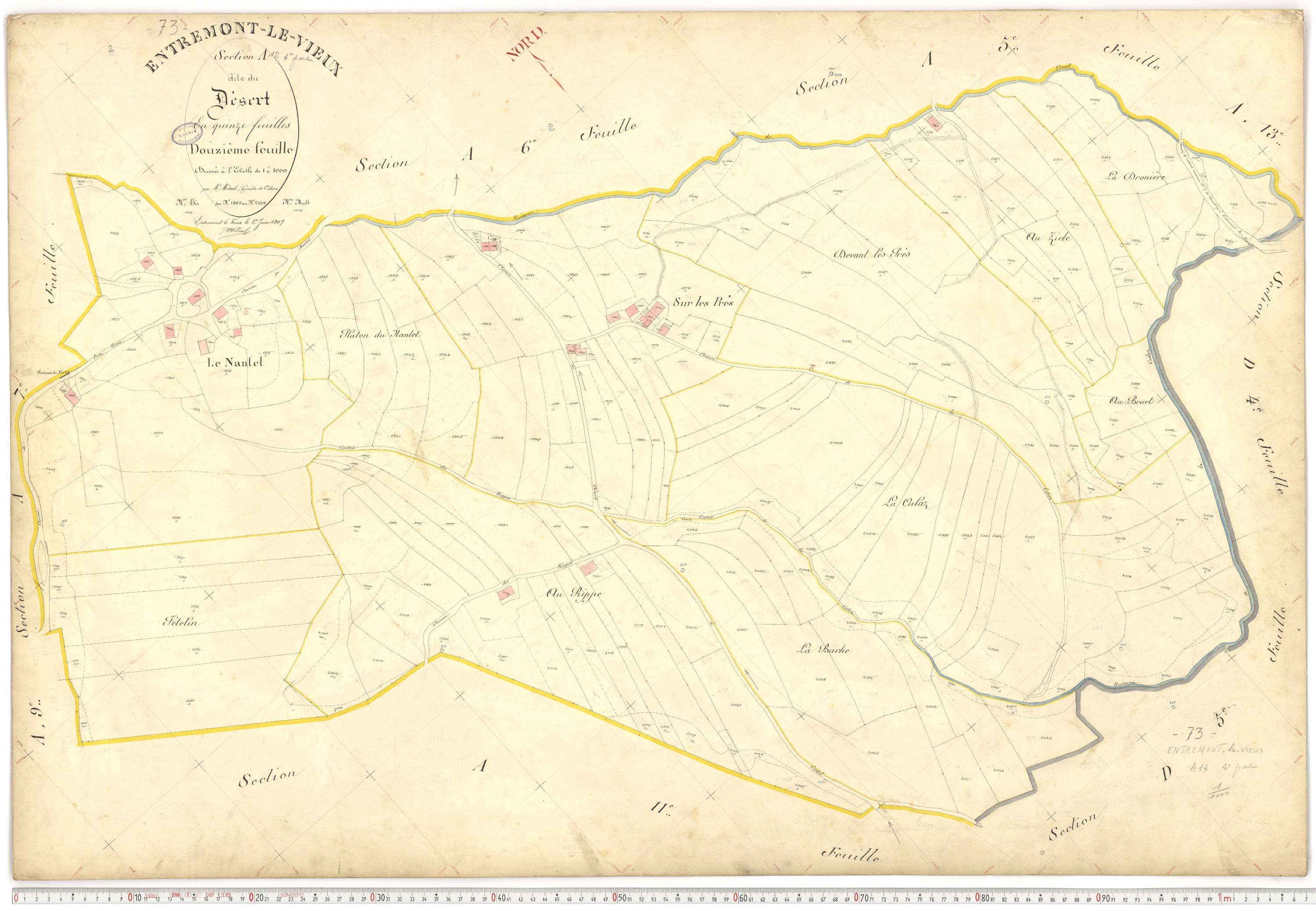 Entremont-le-Vieux - Cadastre français (1907).