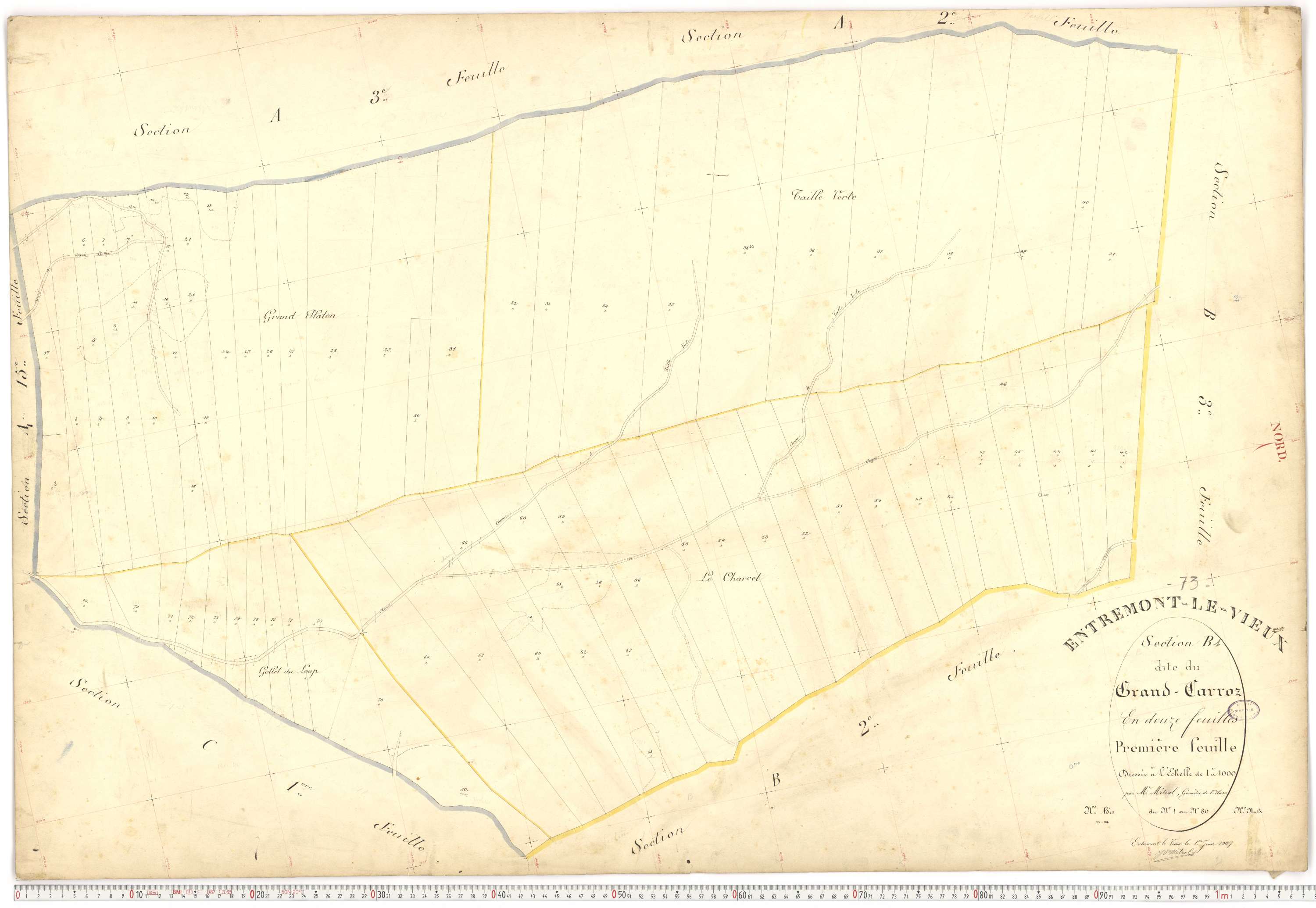 Entremont-le-Vieux - Cadastre français (1907).