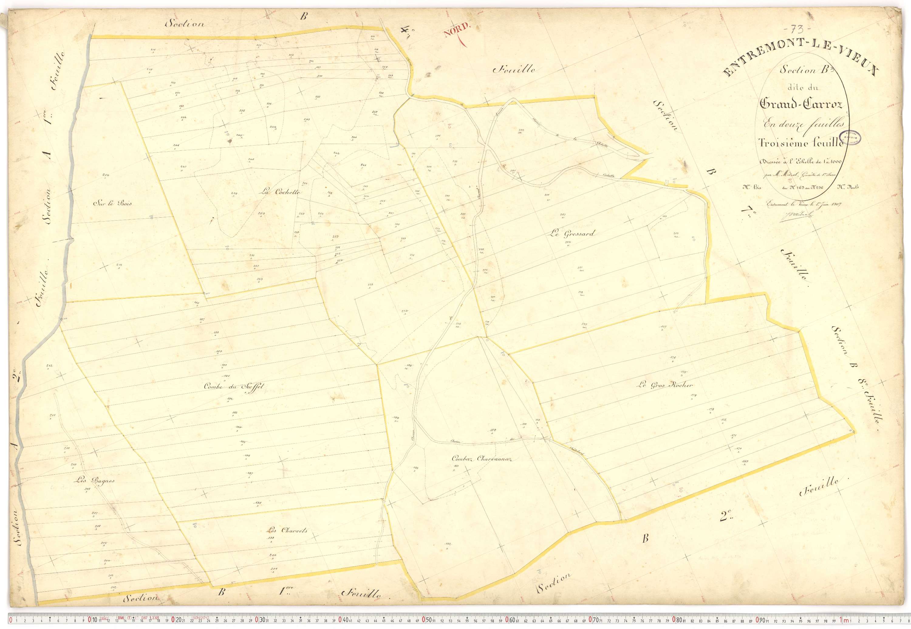 Entremont-le-Vieux - Cadastre français (1907).