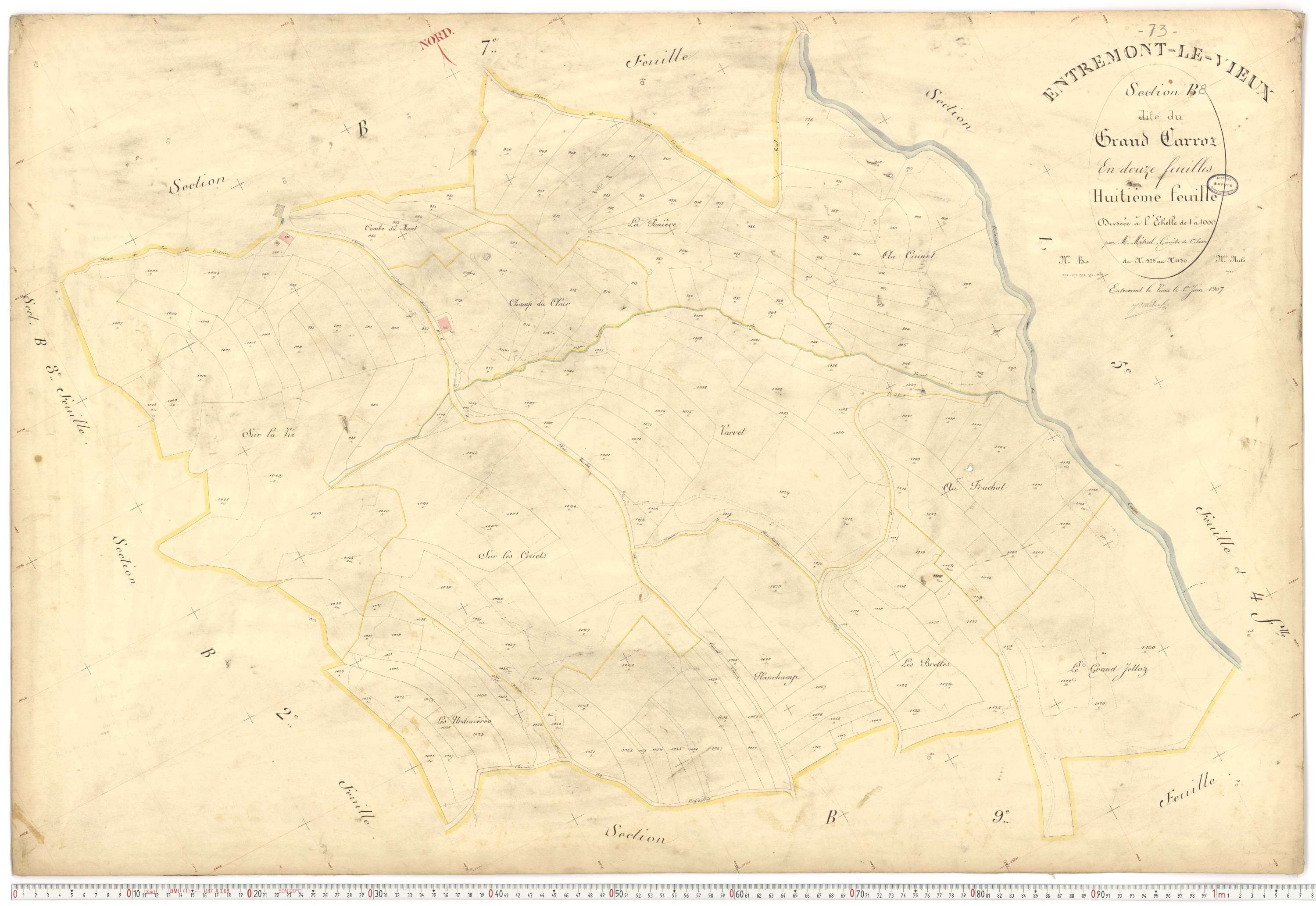 Entremont-le-Vieux - Cadastre français (1907).