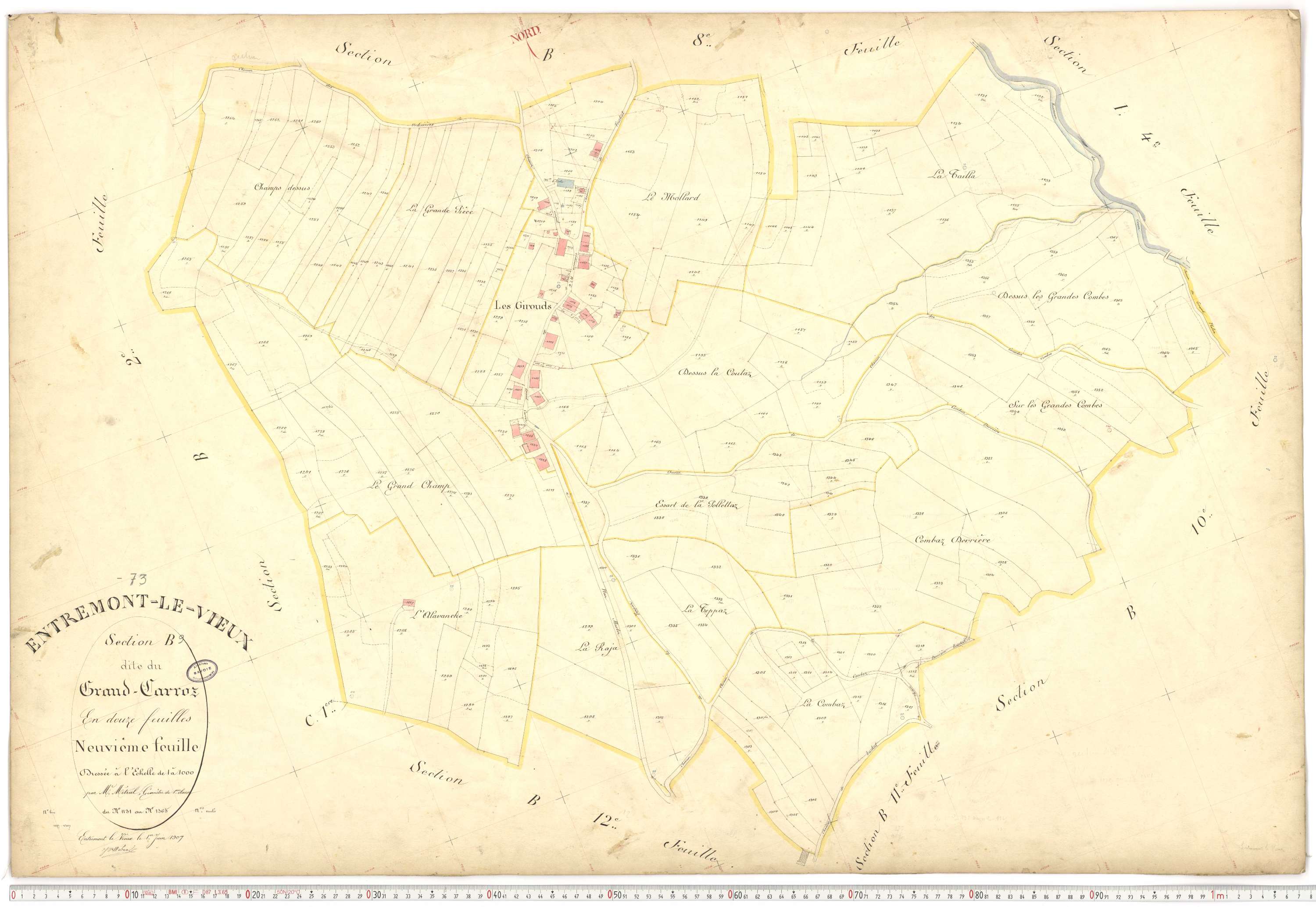Entremont-le-Vieux - Cadastre français (1907).