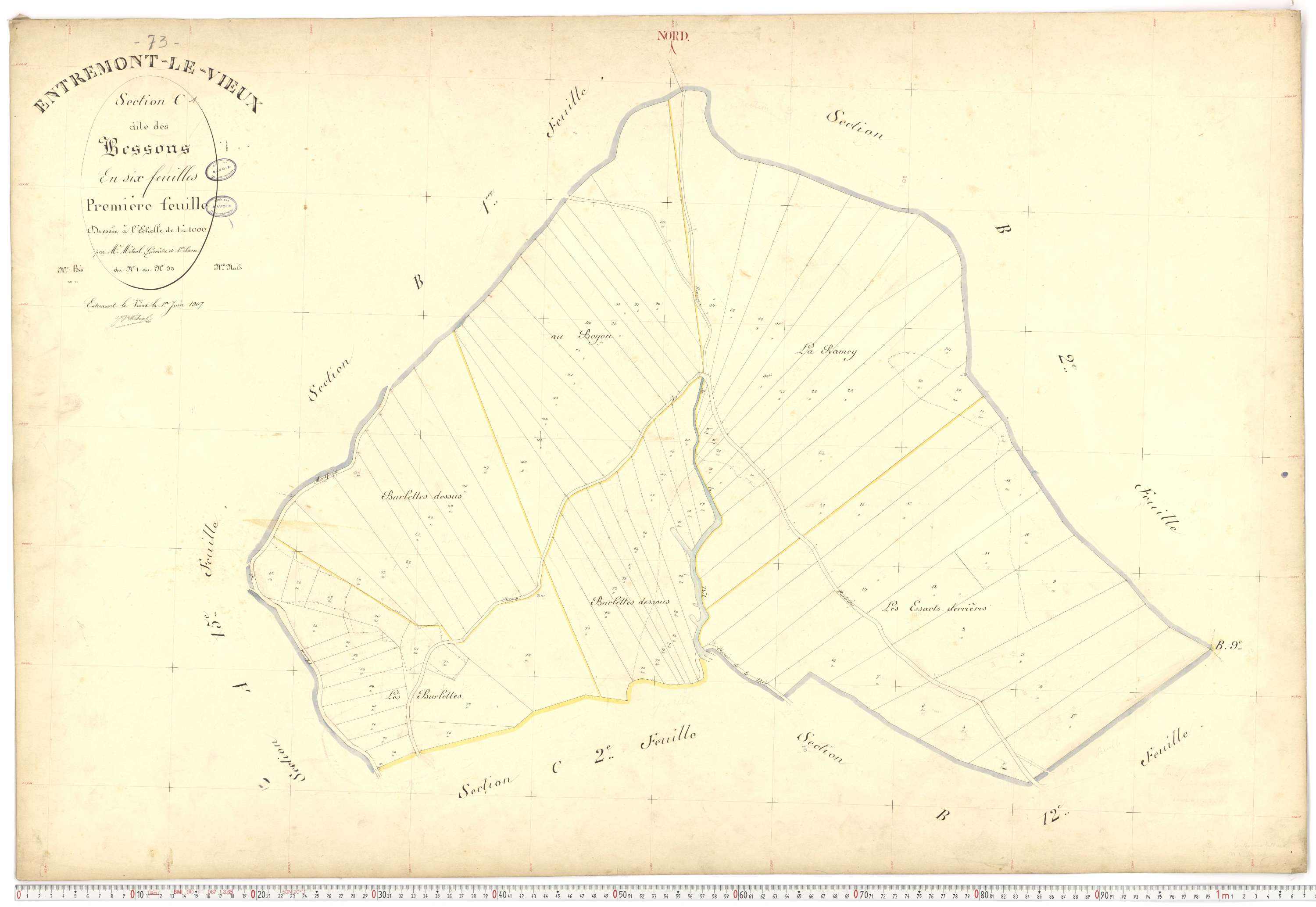 Entremont-le-Vieux - Cadastre français (1907).