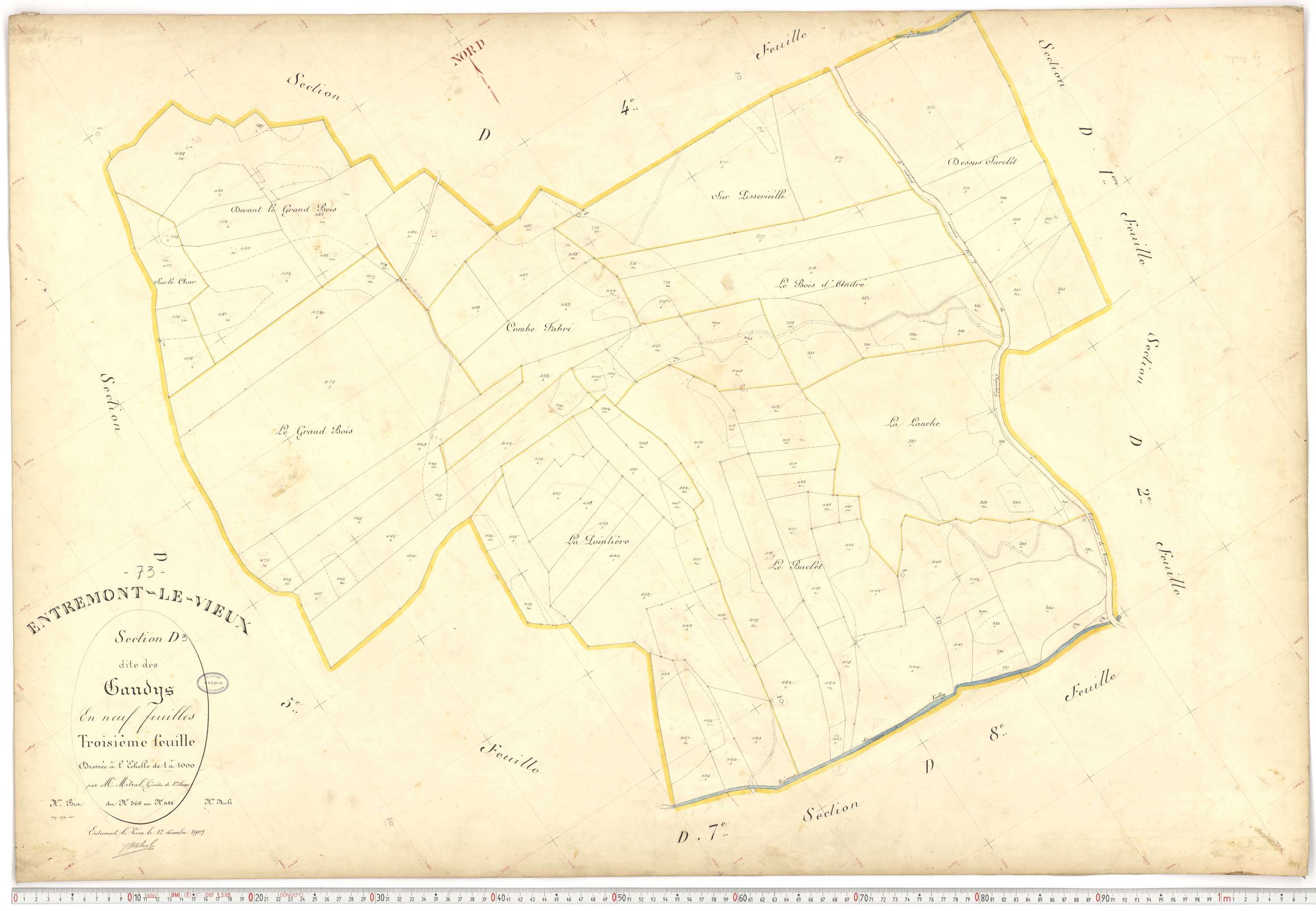 Entremont-le-Vieux - Cadastre français (1907).