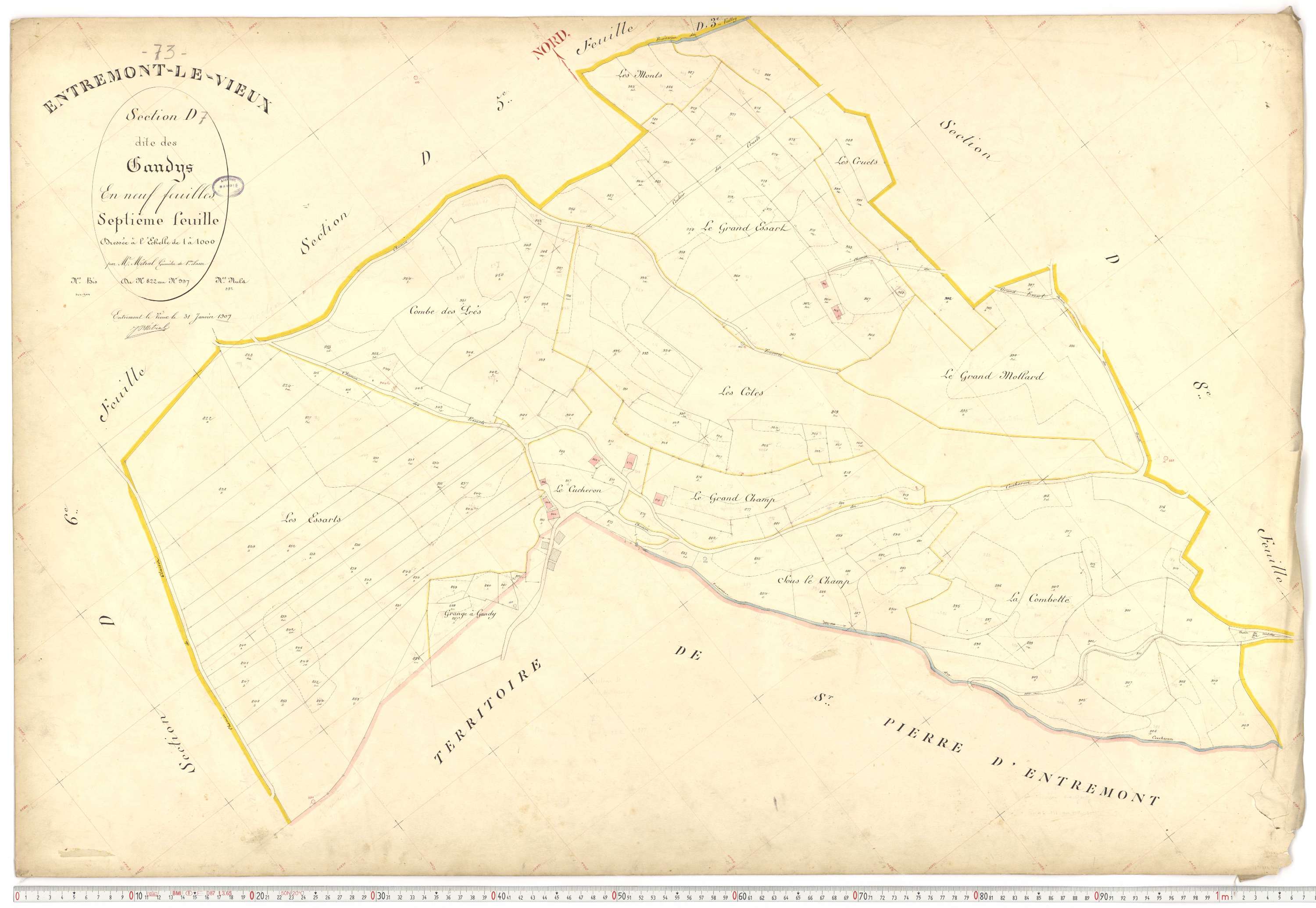 Entremont-le-Vieux - Cadastre français (1907).