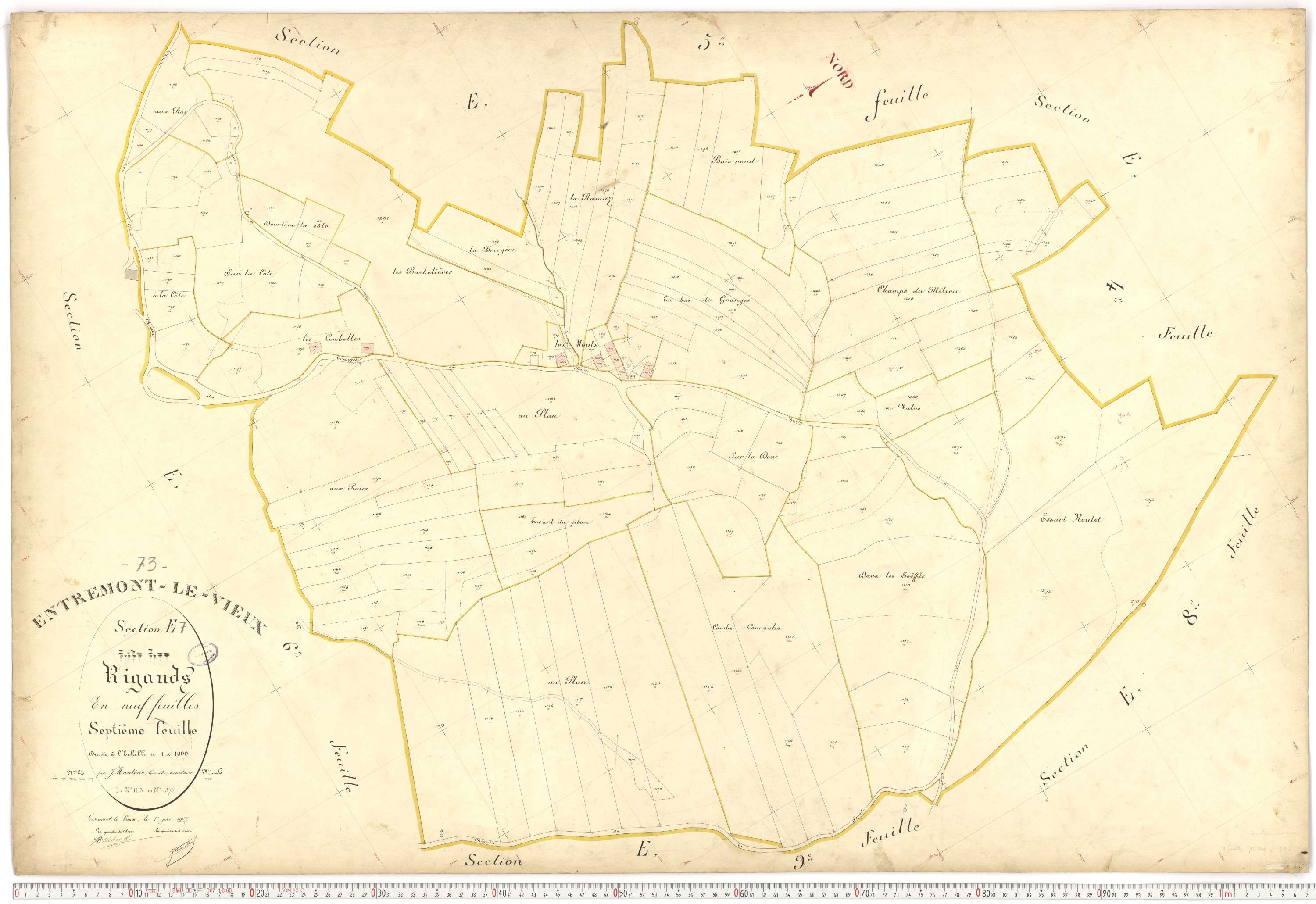 Entremont-le-Vieux - Cadastre français (1907).