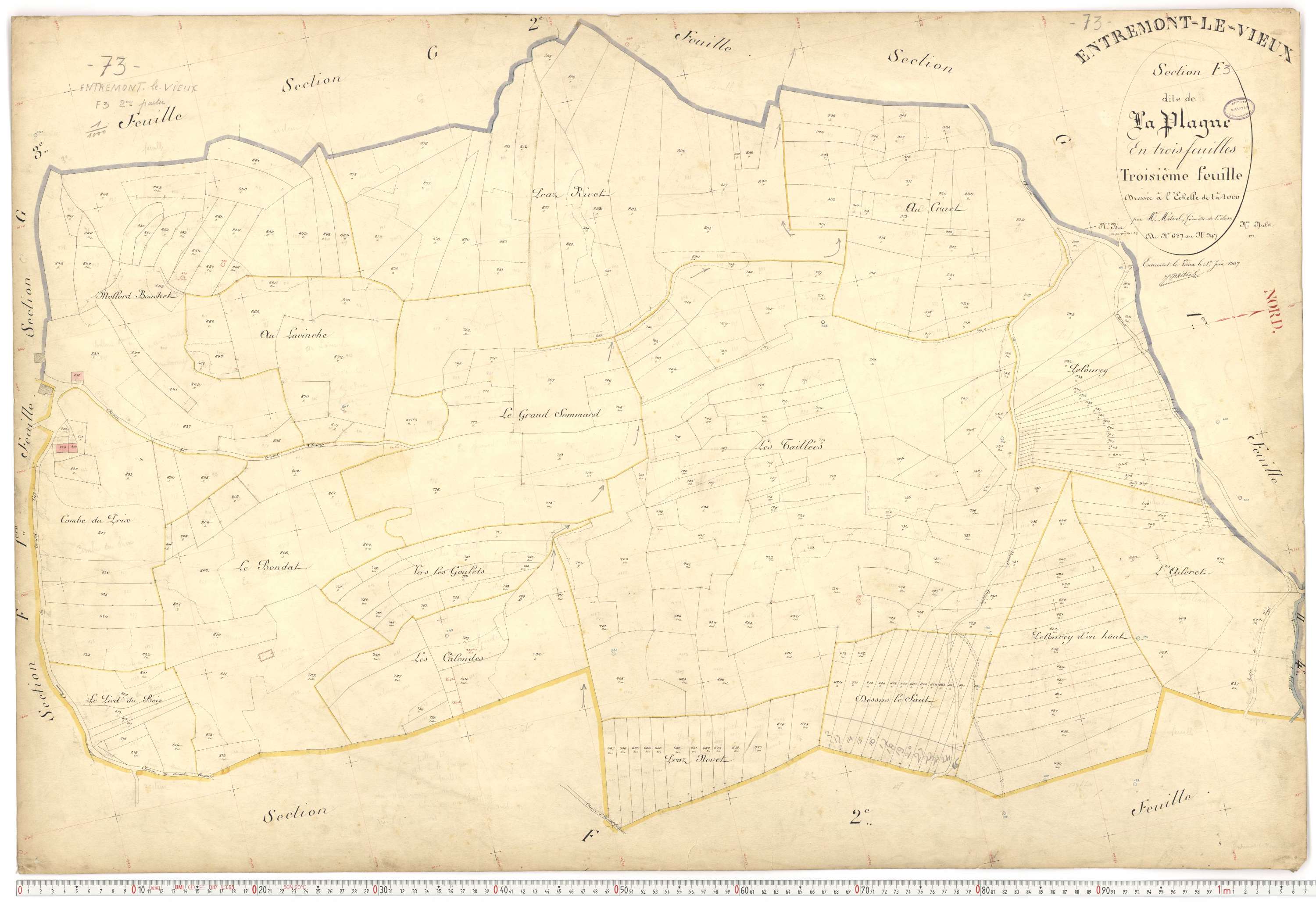 Entremont-le-Vieux - Cadastre français (1907).
