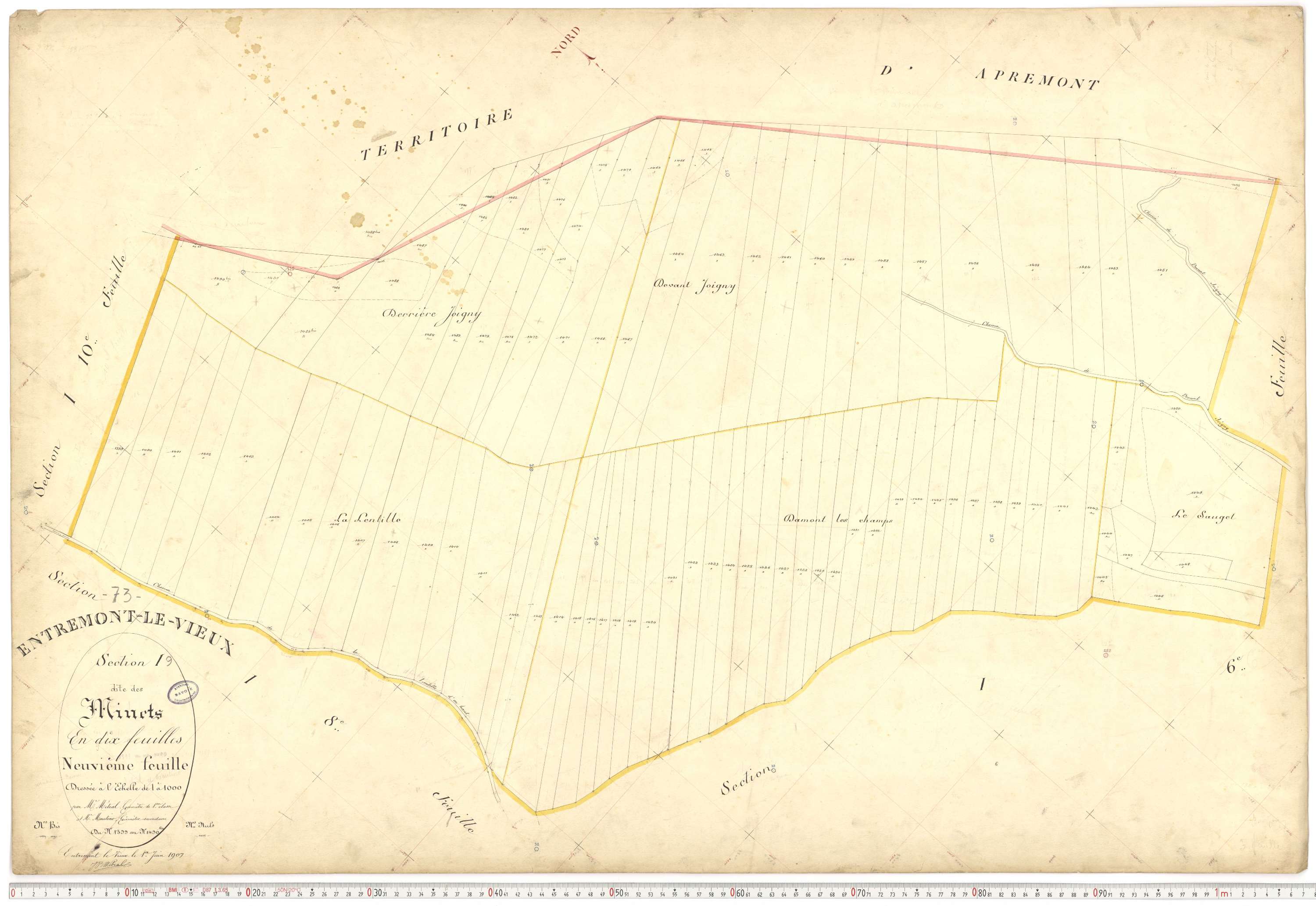 Entremont-le-Vieux - Cadastre français (1907).