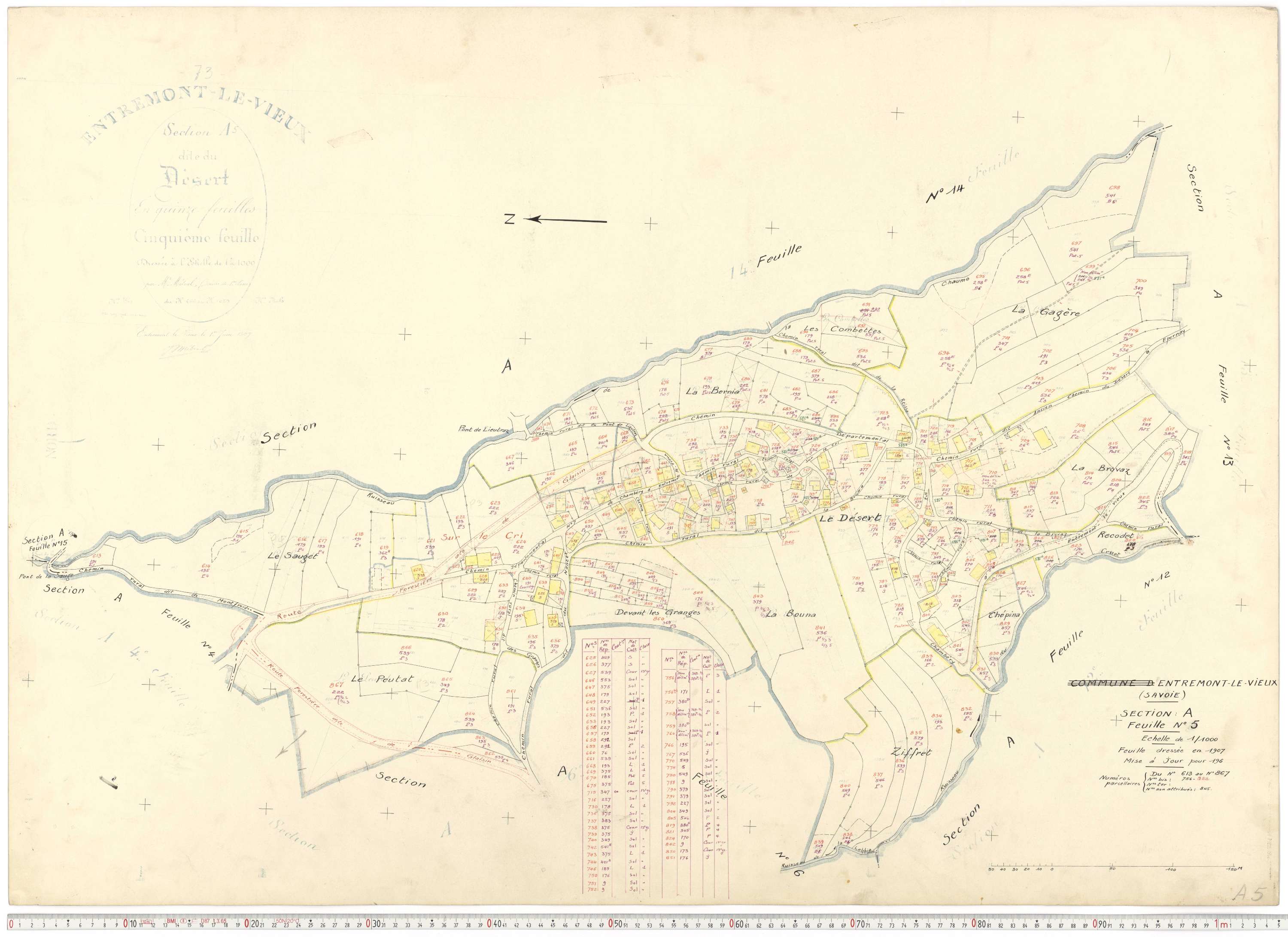 Entremont-le-Vieux - Cadastre rénové, version de travail (1964).