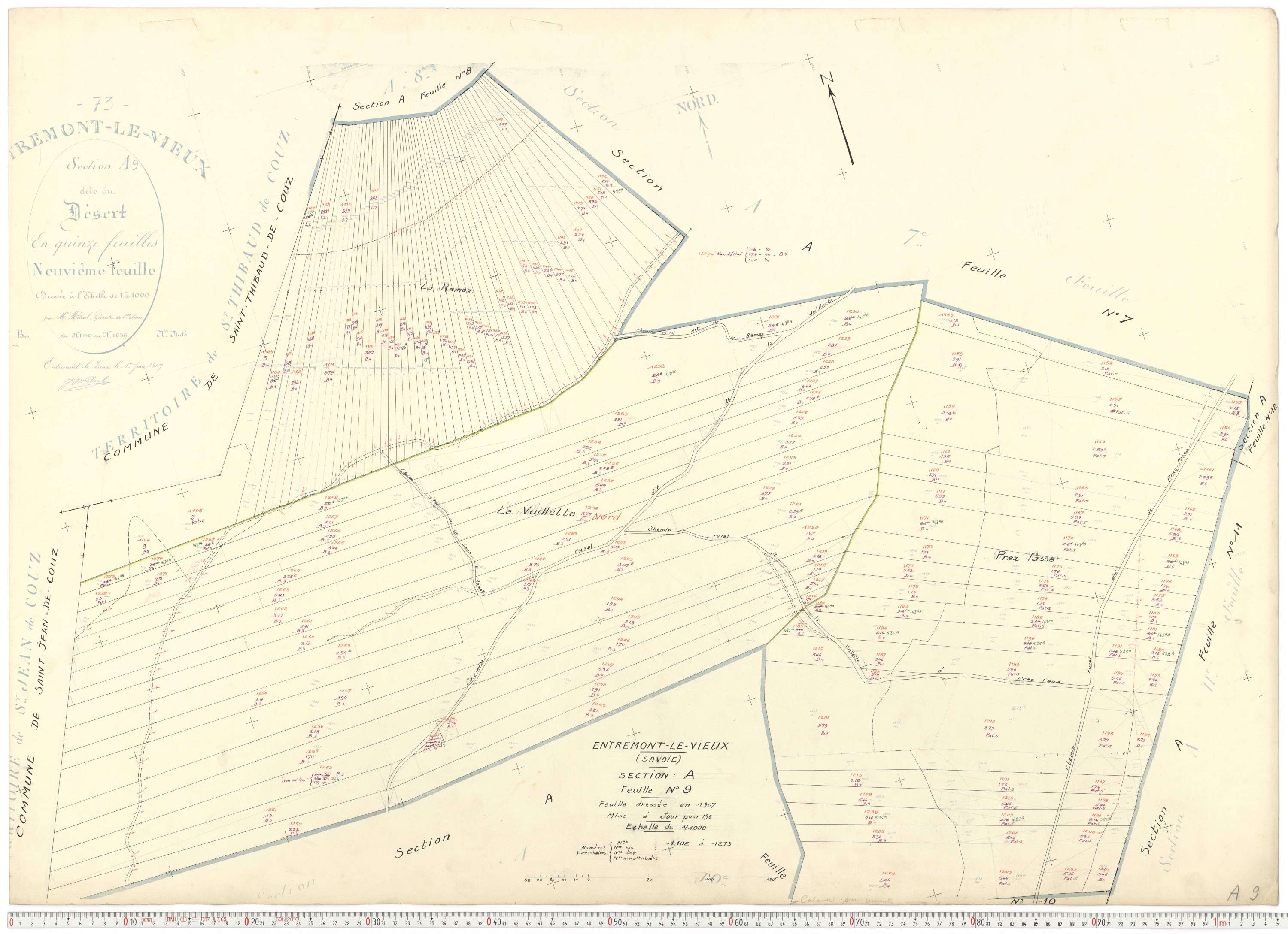 Entremont-le-Vieux - Cadastre rénové, version de travail (1964).