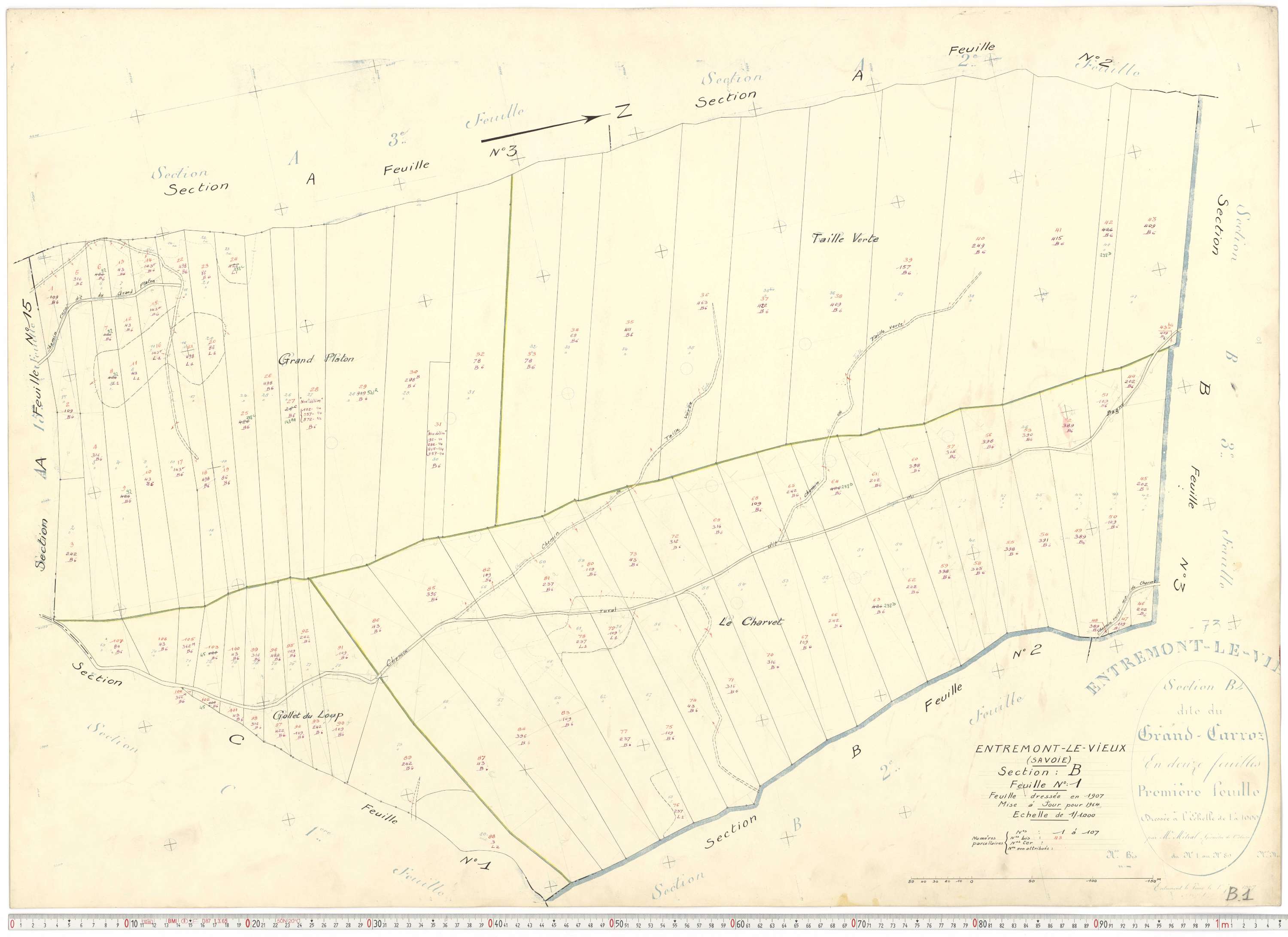 Entremont-le-Vieux - Cadastre rénové, version de travail (1964).