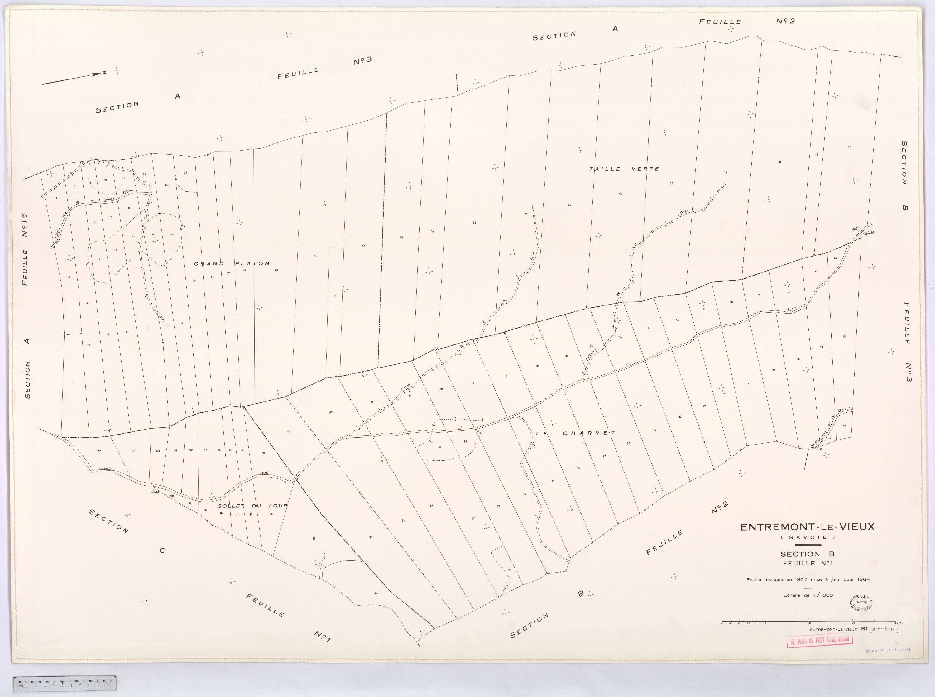 Entremont-le-Vieux - Cadastre rénové, version définitive (1964).