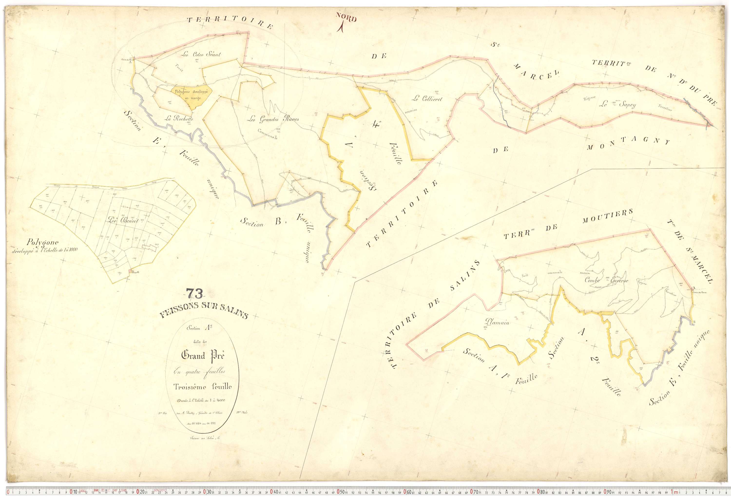 Feissons-sur-Salins - Plans cadastraux du premier cadastre français.