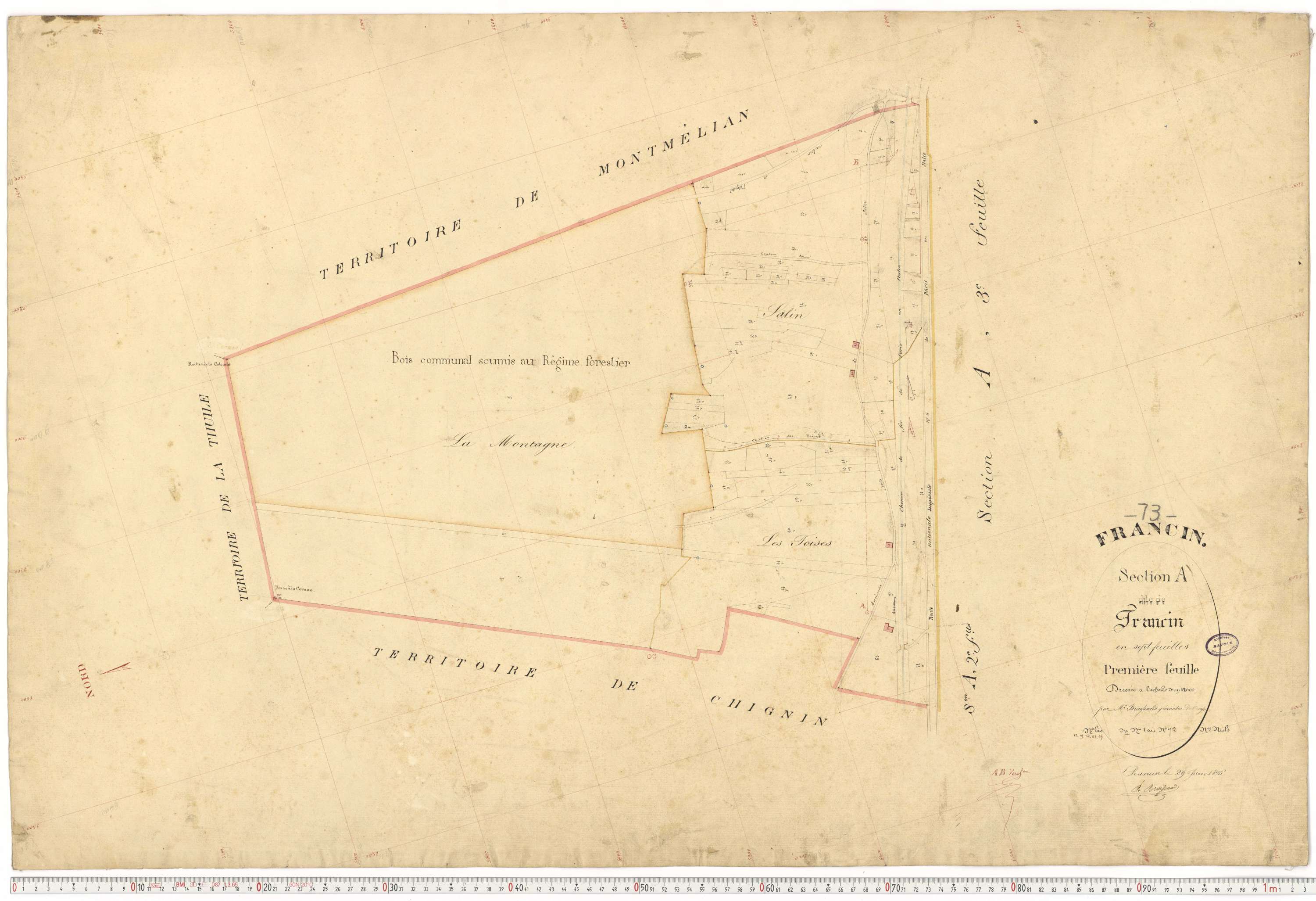 Francin - Cadastre français (1876).