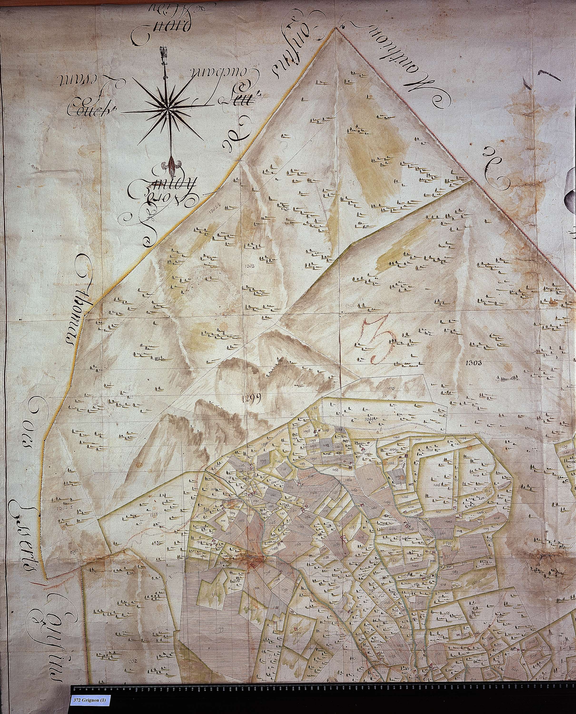 Grignon - 372_1.jpg