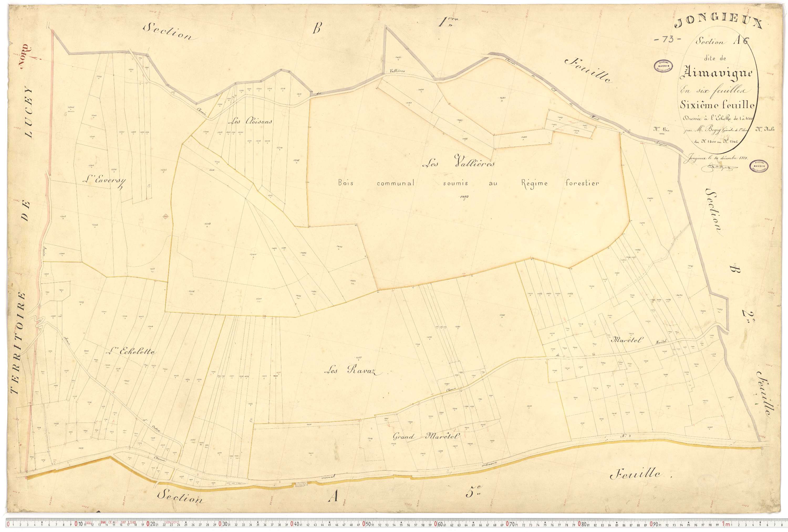 Jongieux - Cadastre français (1921).