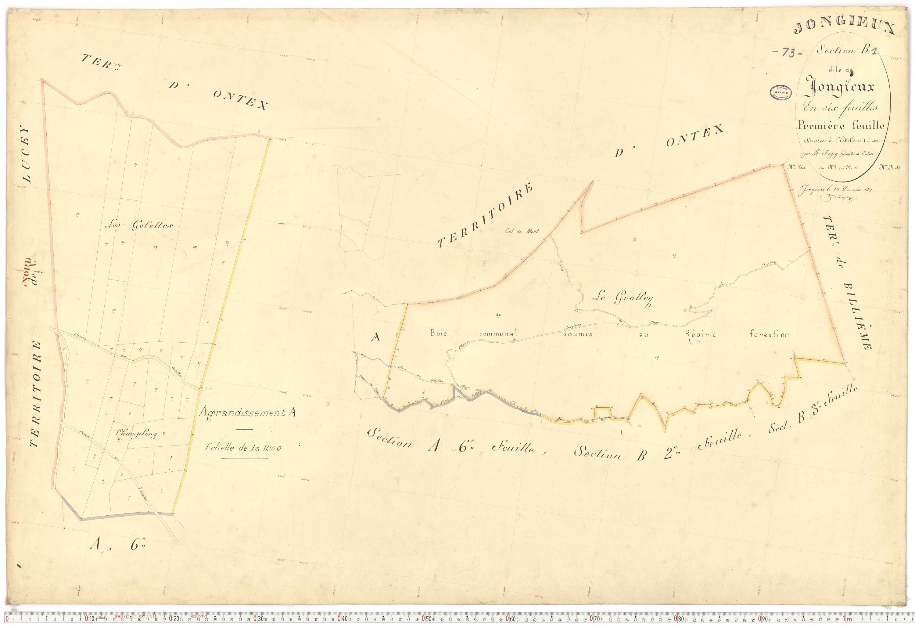 Jongieux - Cadastre français (1921).