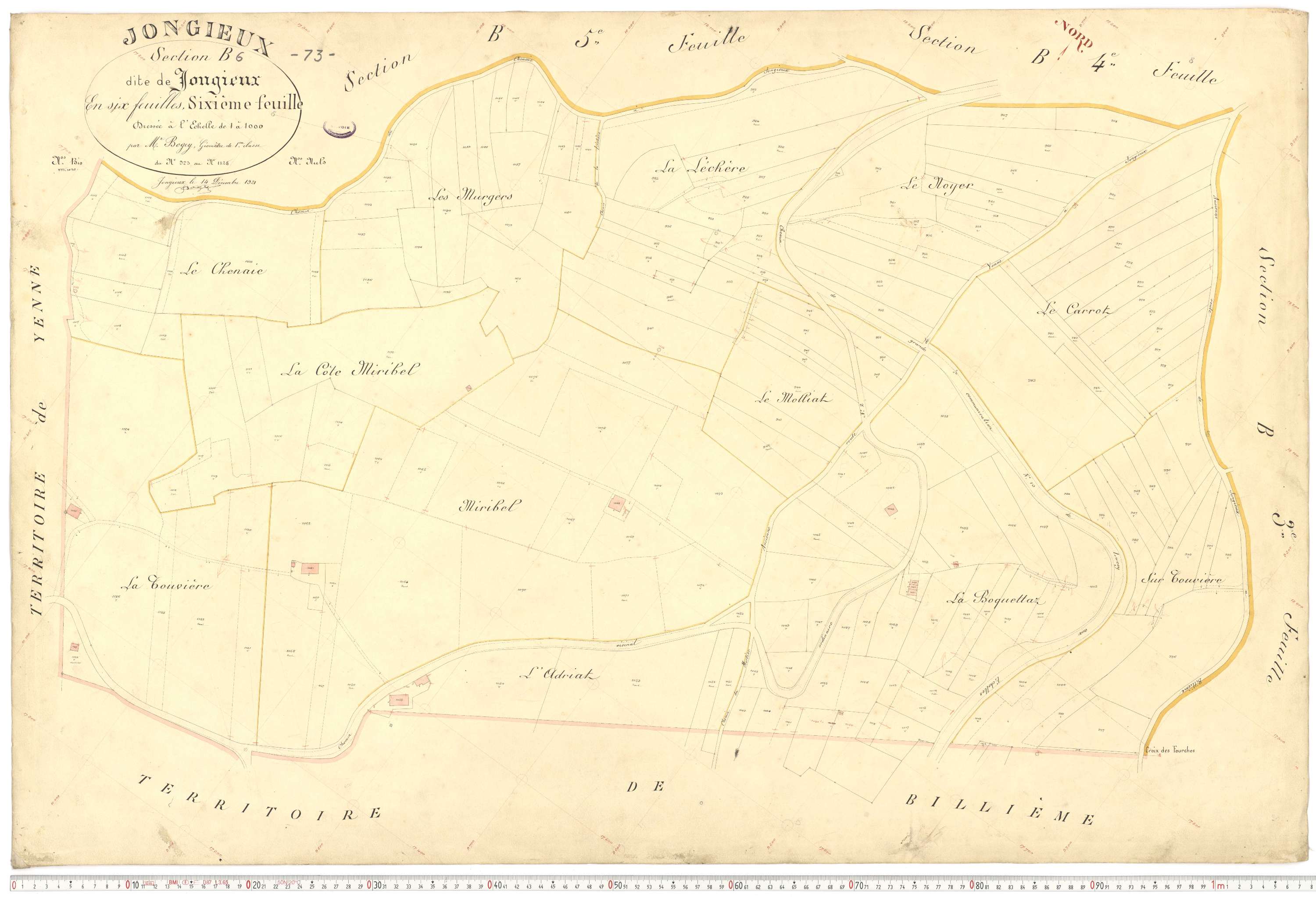 Jongieux - Cadastre français (1921).