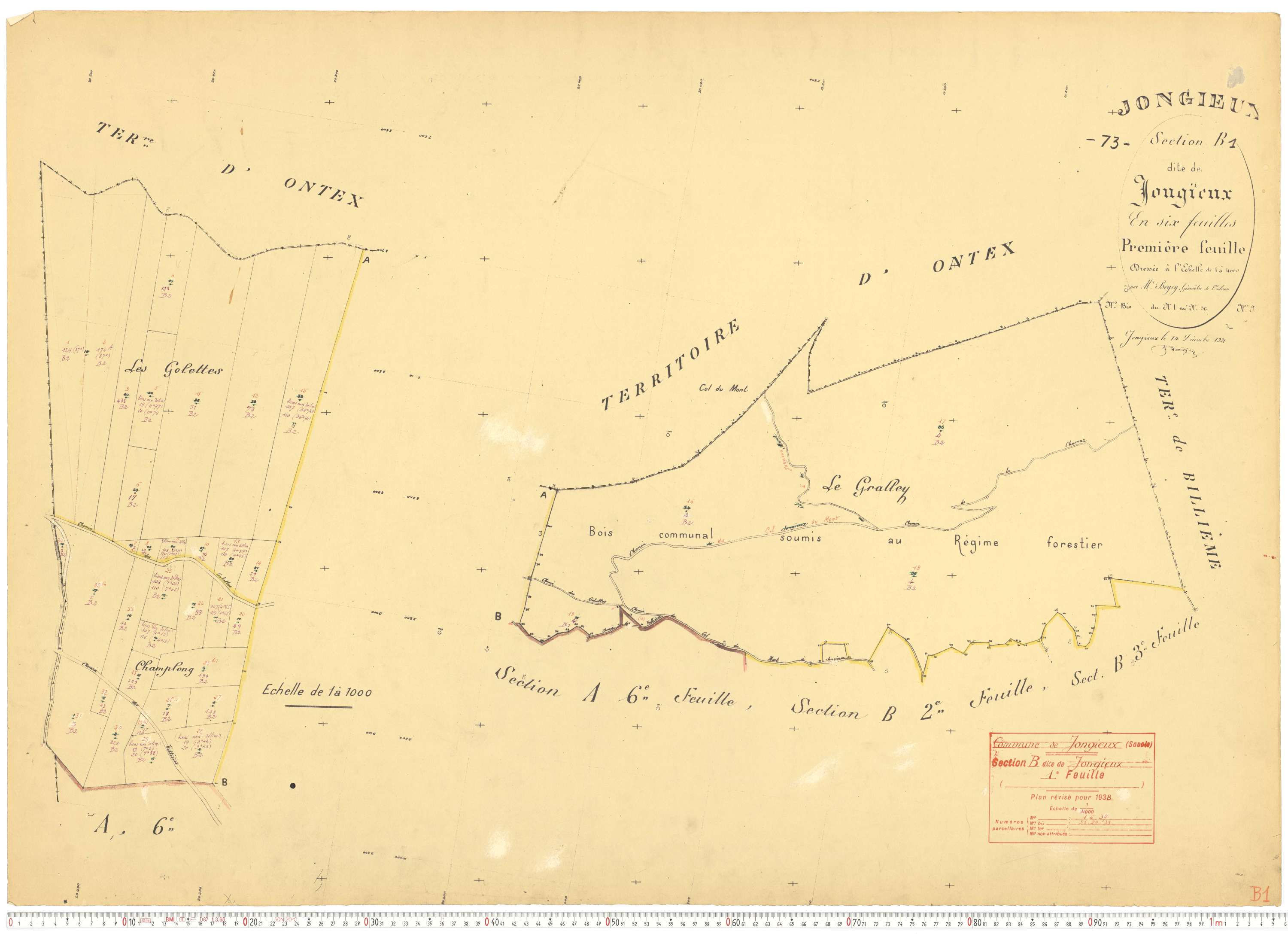 Jongieux - Cadastre rénové, version de travail (1938).