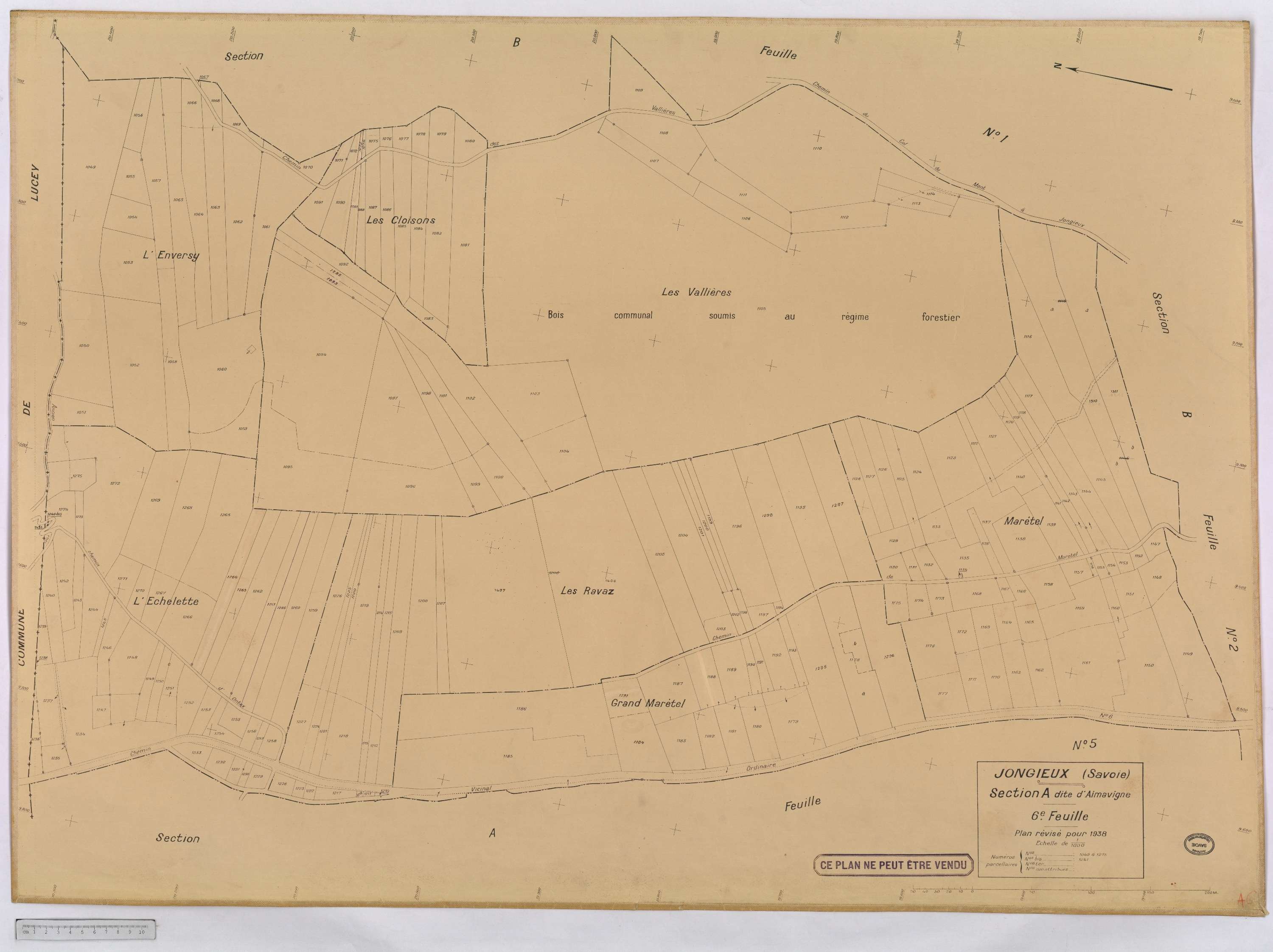 Jongieux - Cadastre rénové, version définitive (1938).