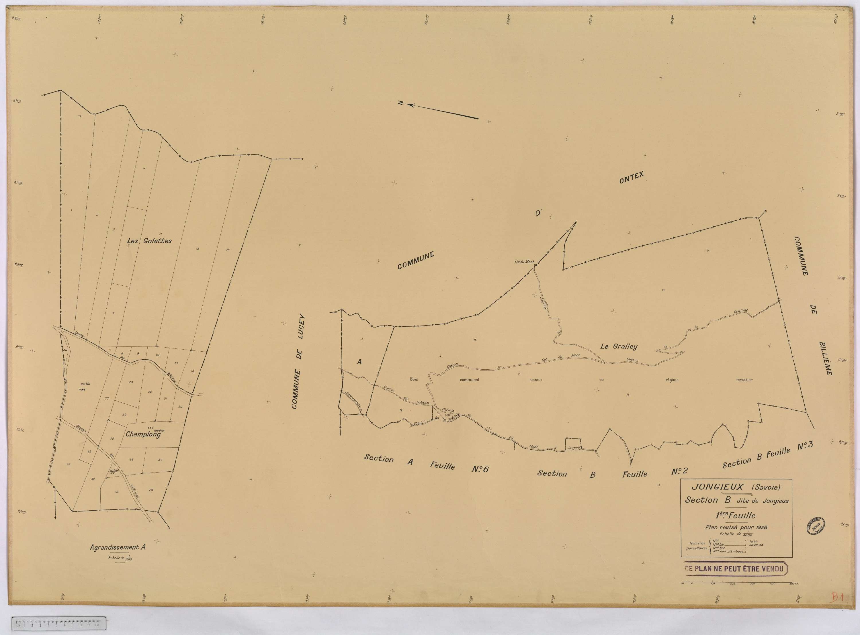 Jongieux - Cadastre rénové, version définitive (1938).