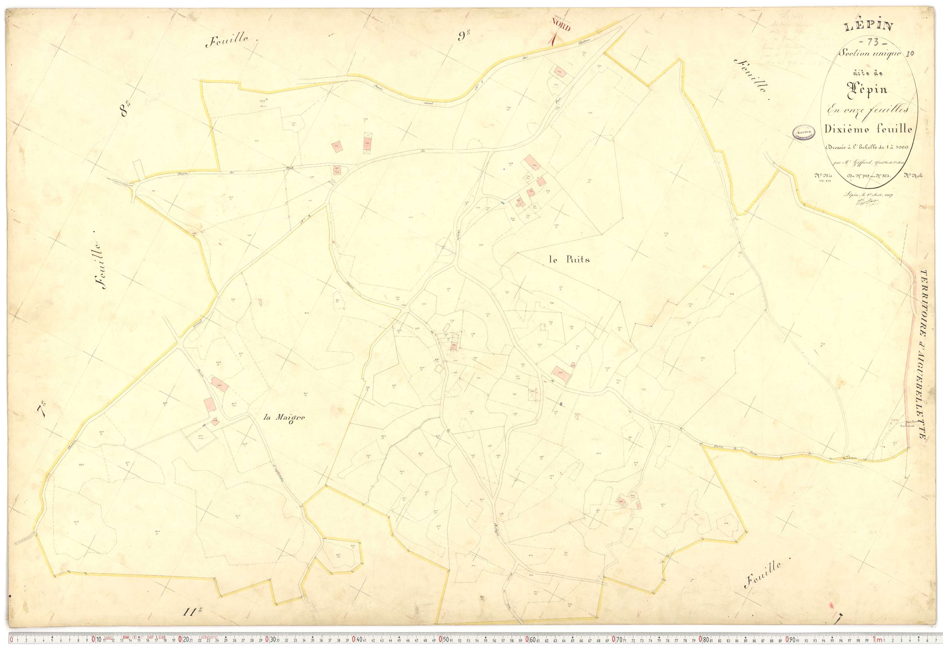 Lépin-le-Lac - Plans cadastraux du premier cadastre français.