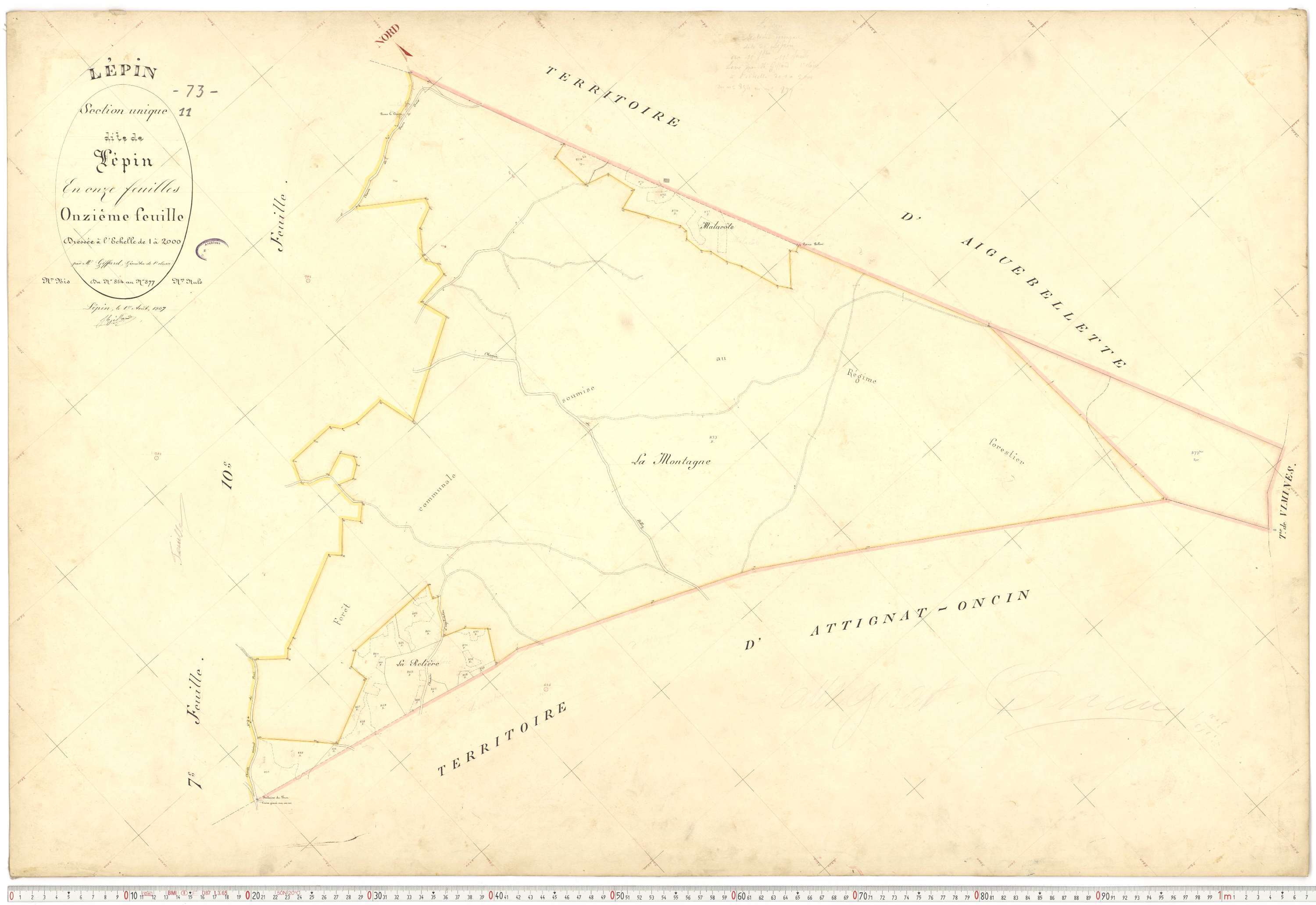 Lépin-le-Lac - Plans cadastraux du premier cadastre français.