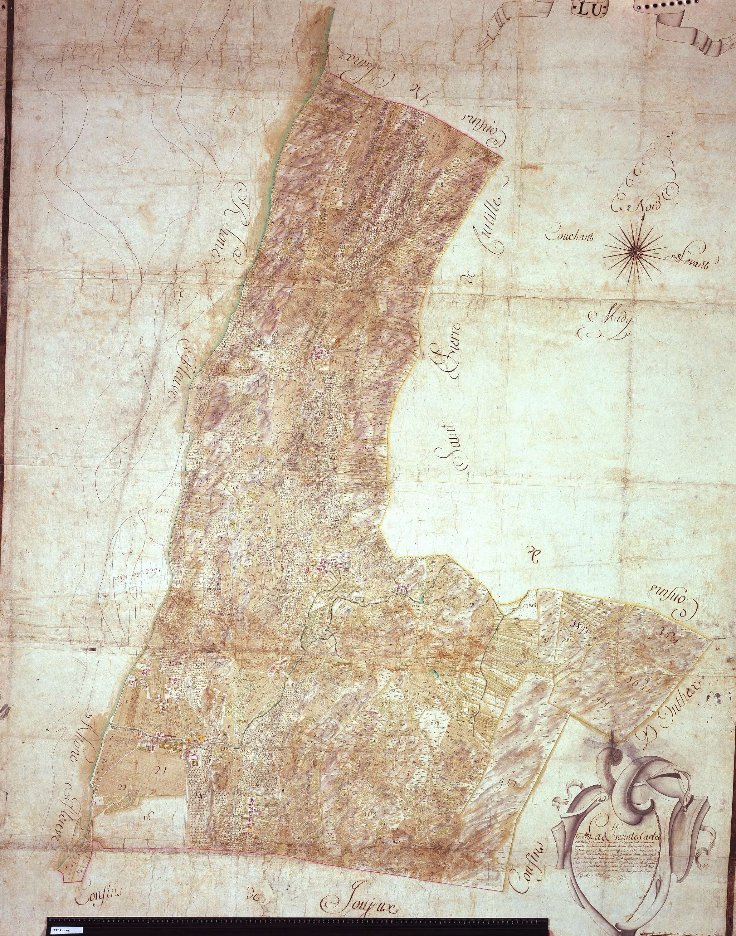 Lucey - 231_g.jpg