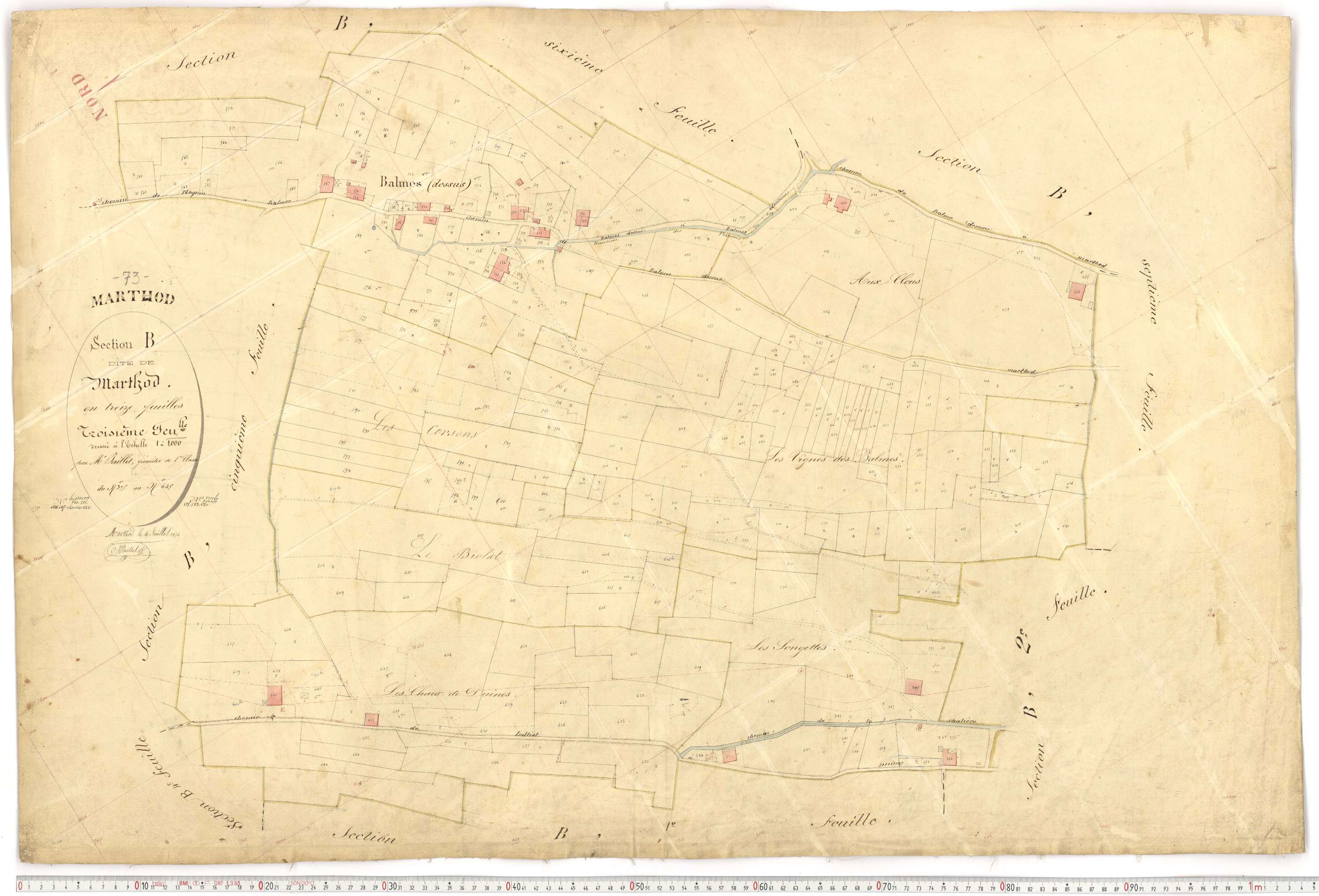 Marthod - Plans cadastraux du premier cadastre français.
