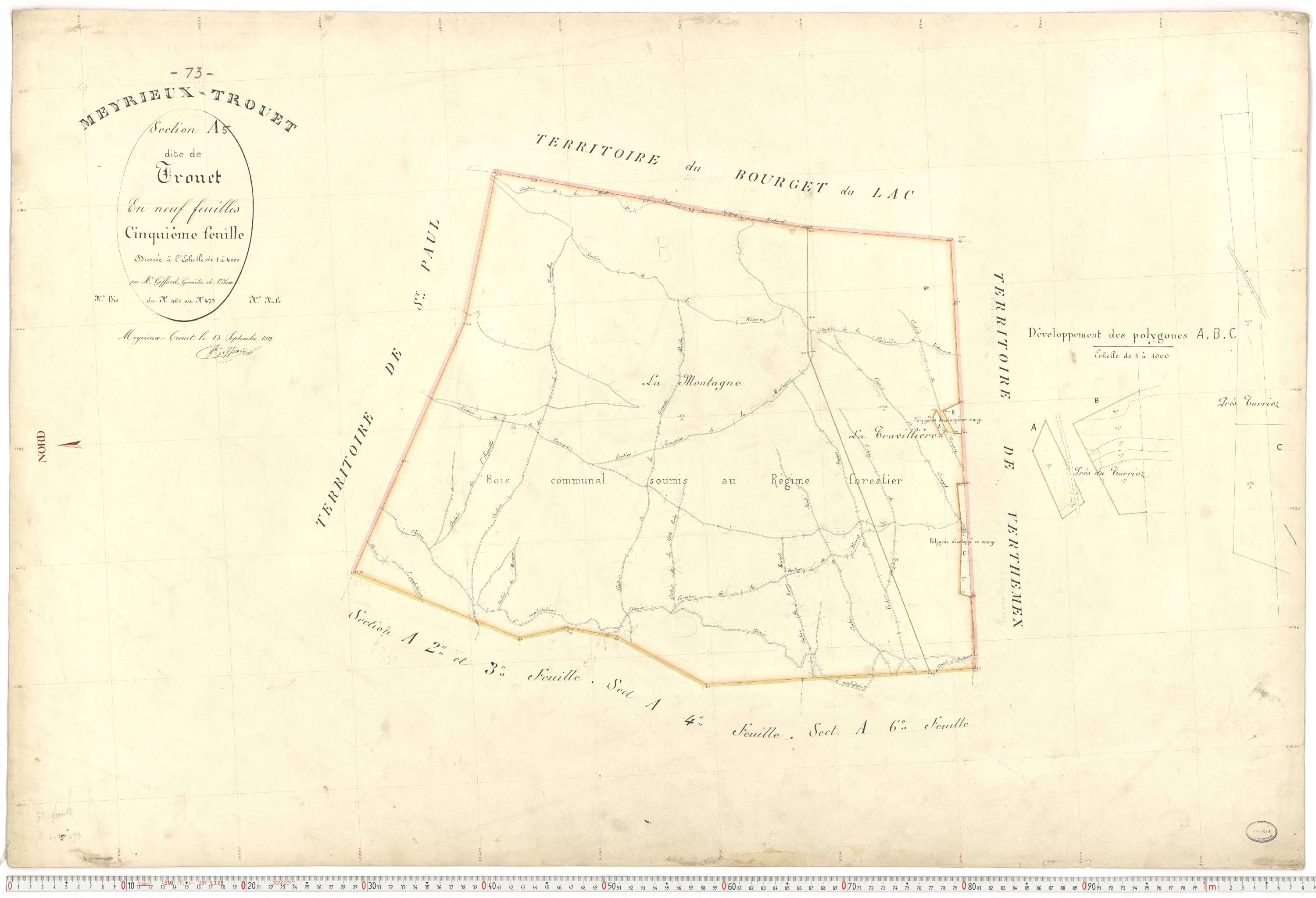Meyrieux-Trouet - Plans cadastraux du premier cadastre français.