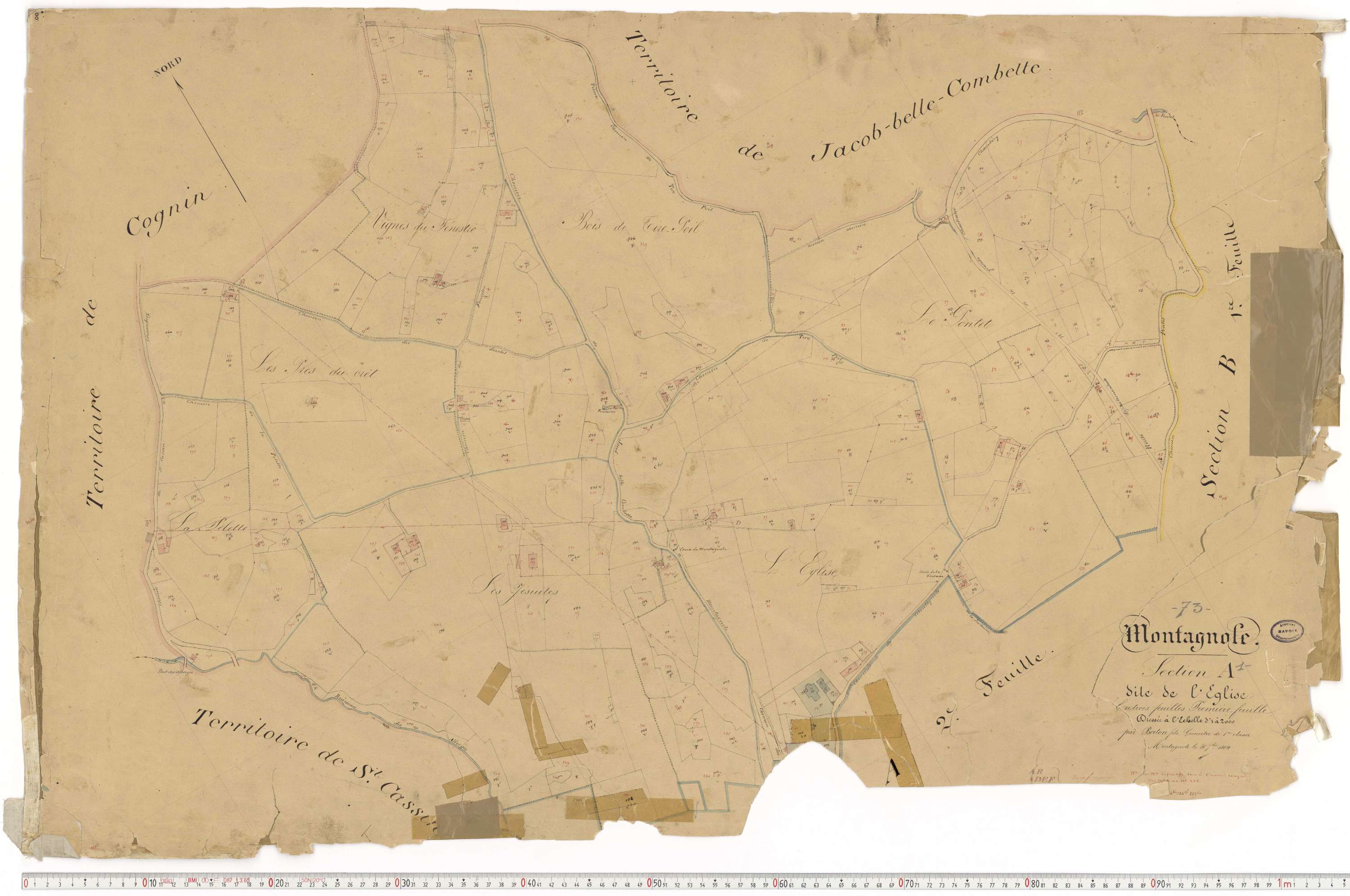 Montagnole - Cadastre français (1864).