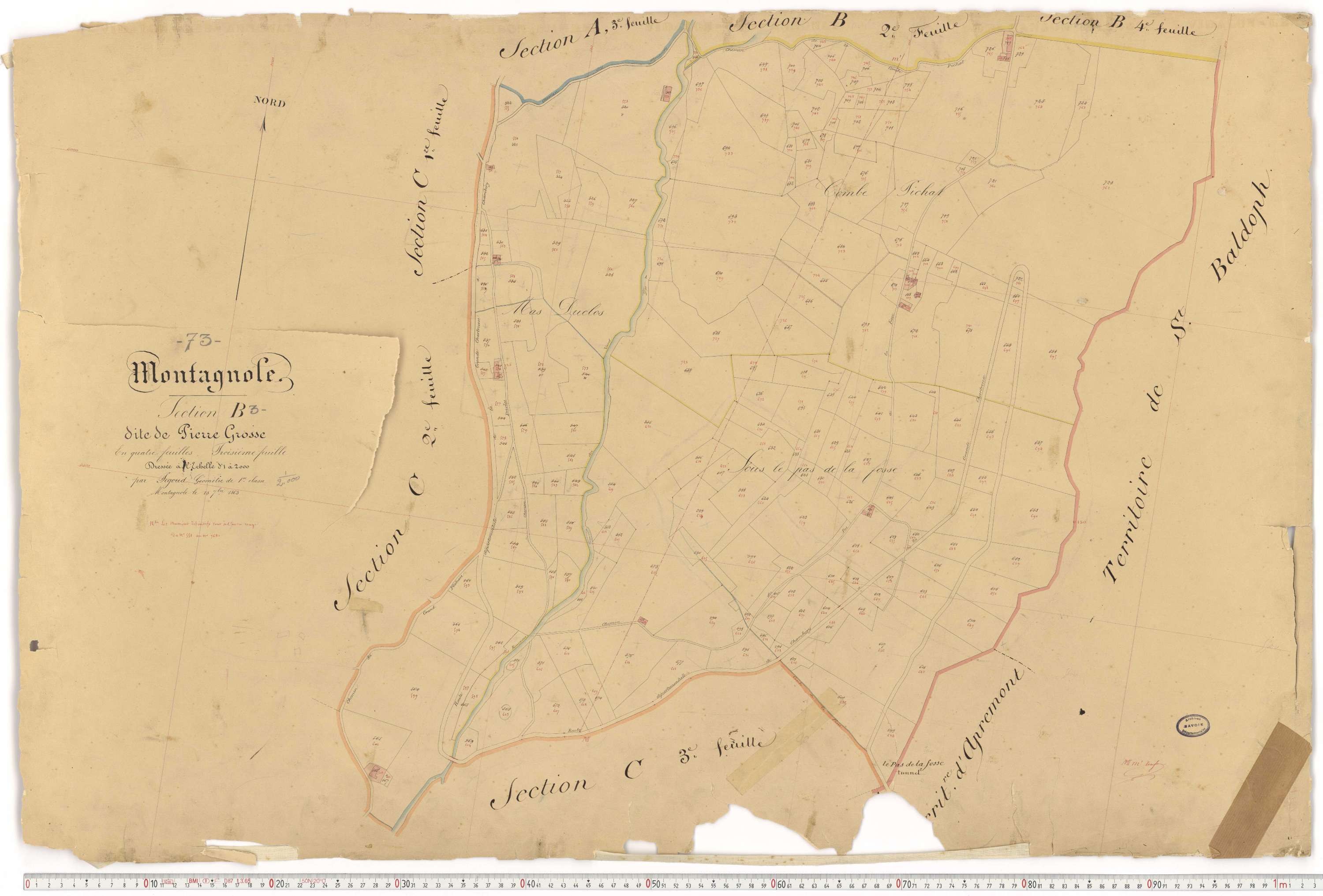 Montagnole - Cadastre français (1864).