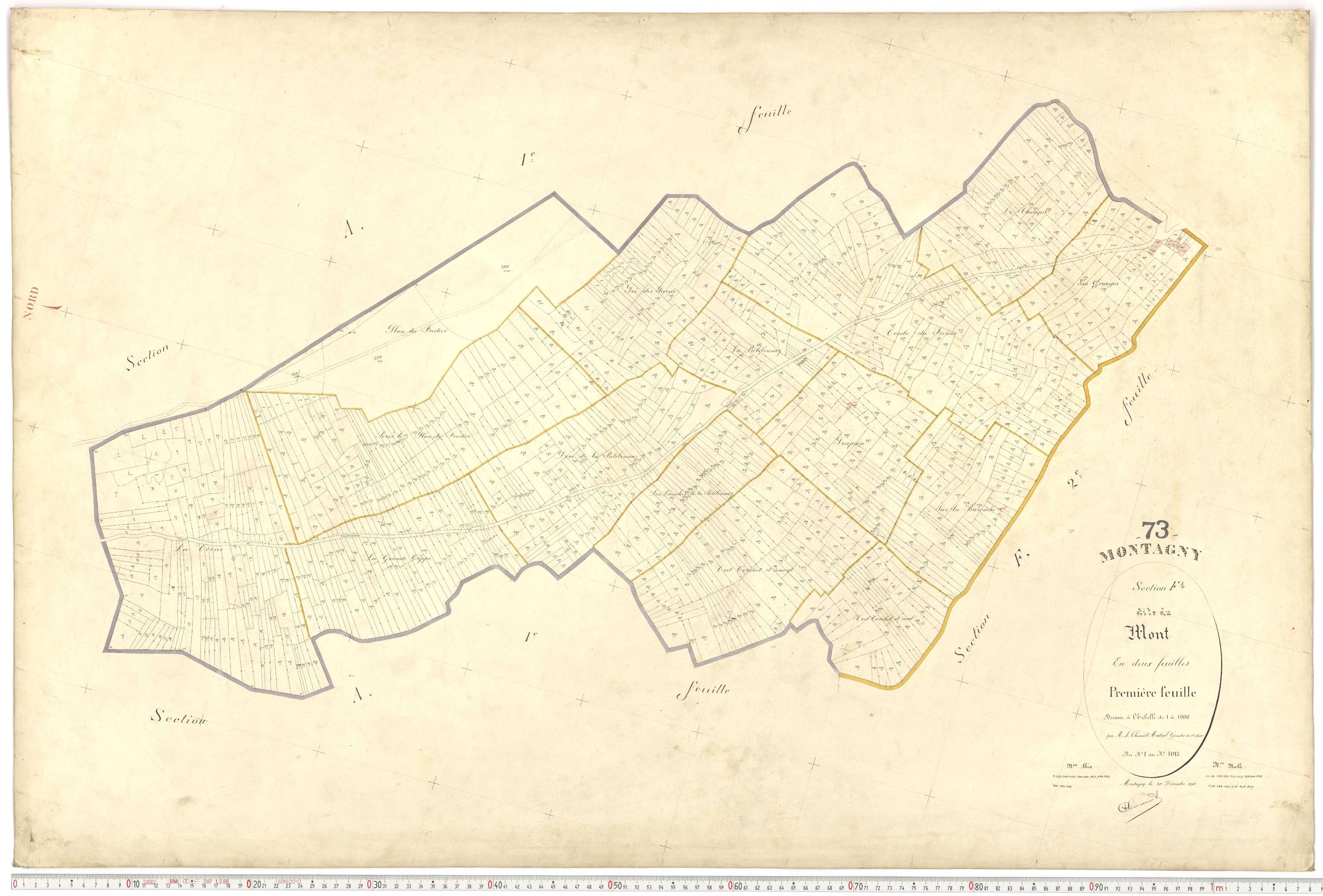 Montagny - Plans cadastraux du premier cadastre français.