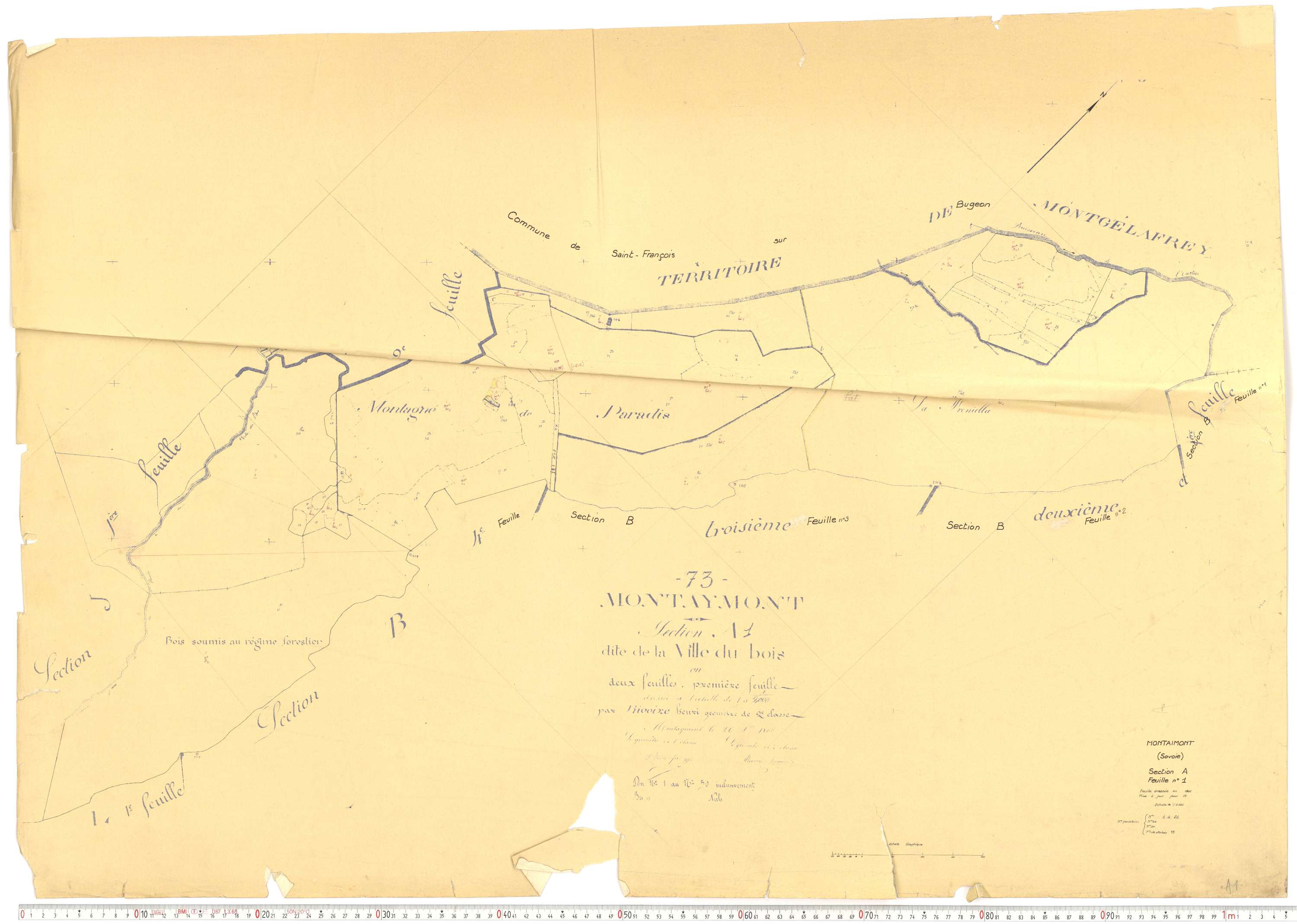 Montaimont - Plans cadastraux du cadastre rénové.