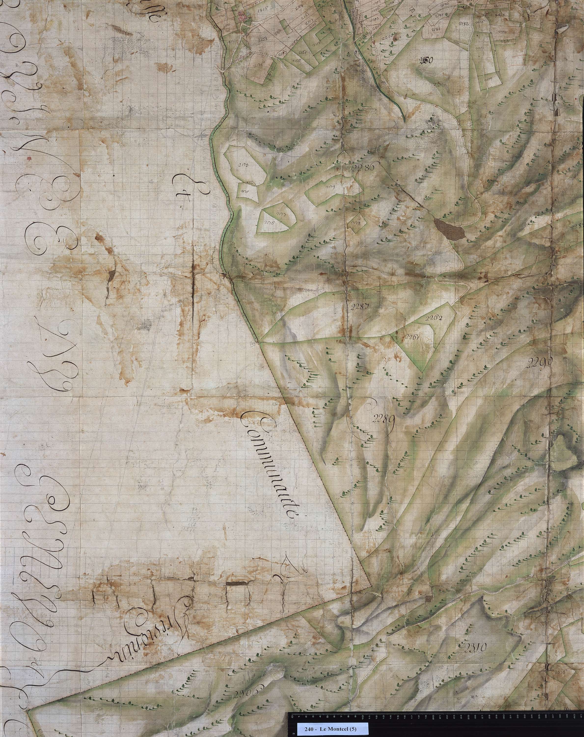 Montcel - 240.5.jpg