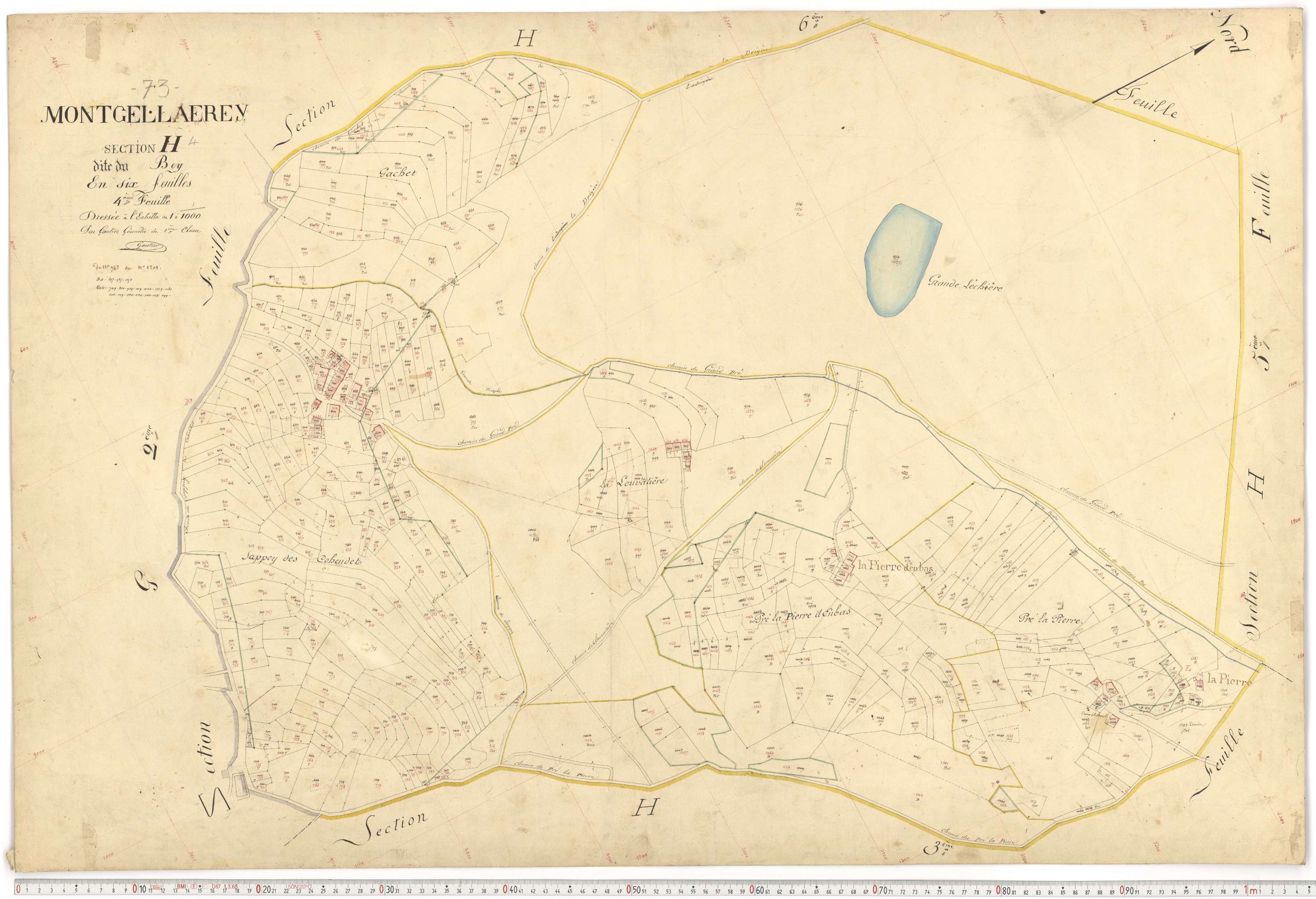 Montgellafrey - Plans cadastraux du premier cadastre français.