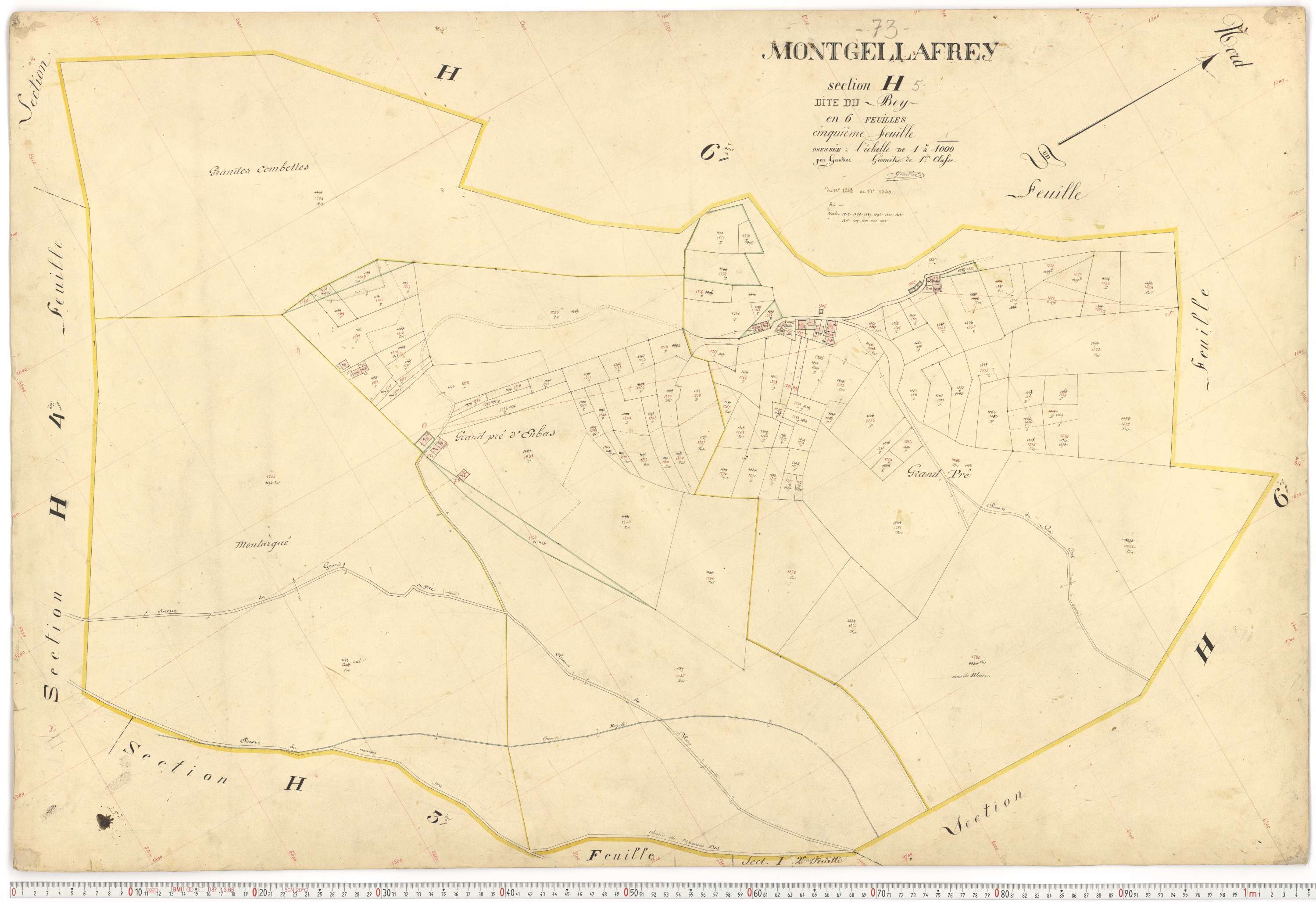 Montgellafrey - Plans cadastraux du premier cadastre français.