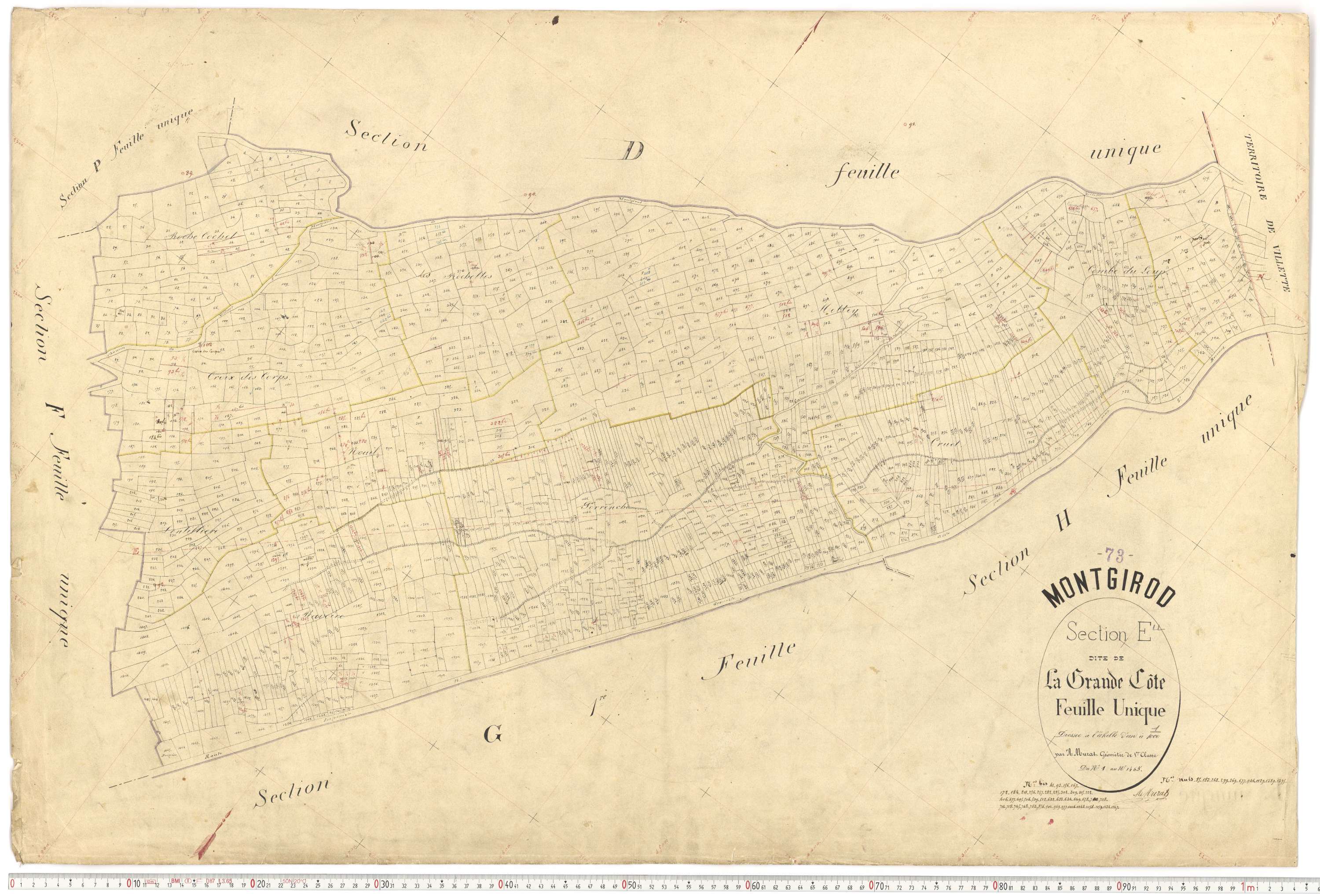 Montgirod - Plans cadastraux du premier cadastre français.