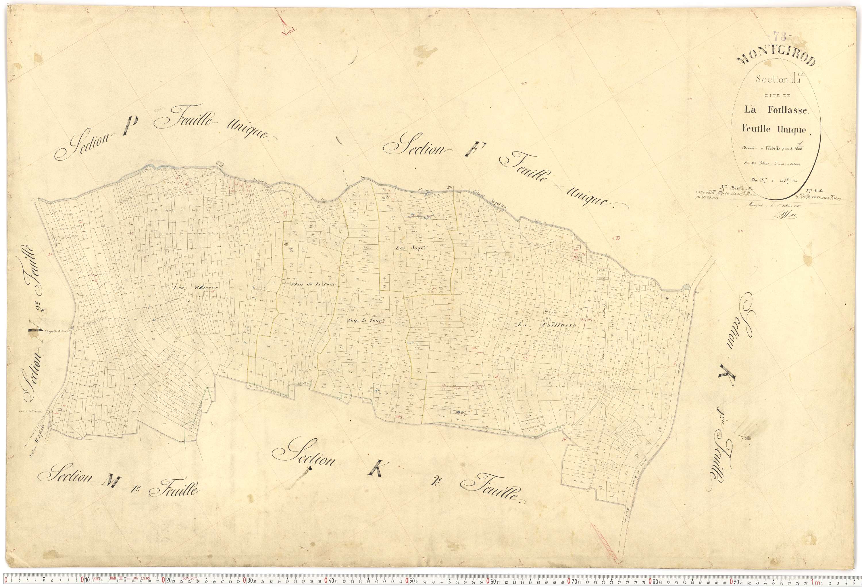 Montgirod - Plans cadastraux du premier cadastre français.
