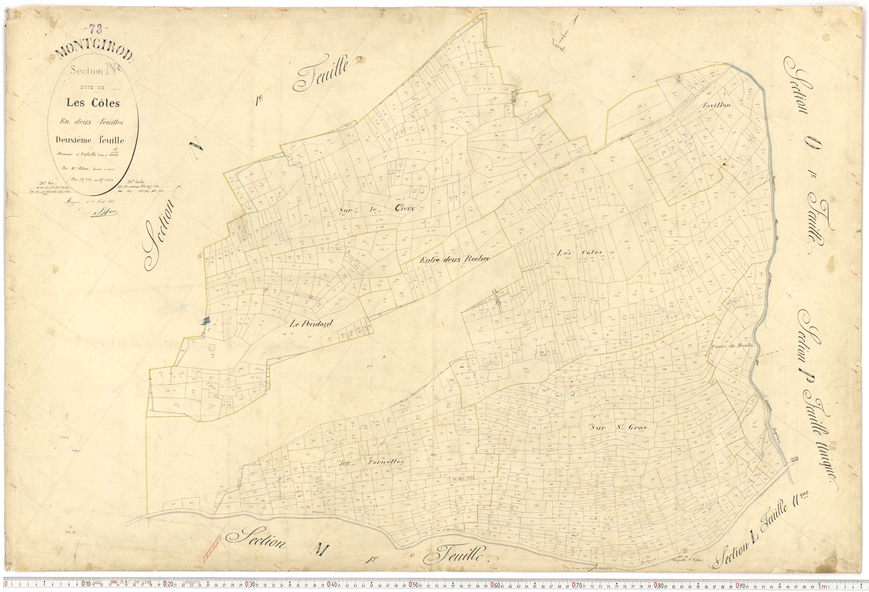 Montgirod - Plans cadastraux du premier cadastre français.