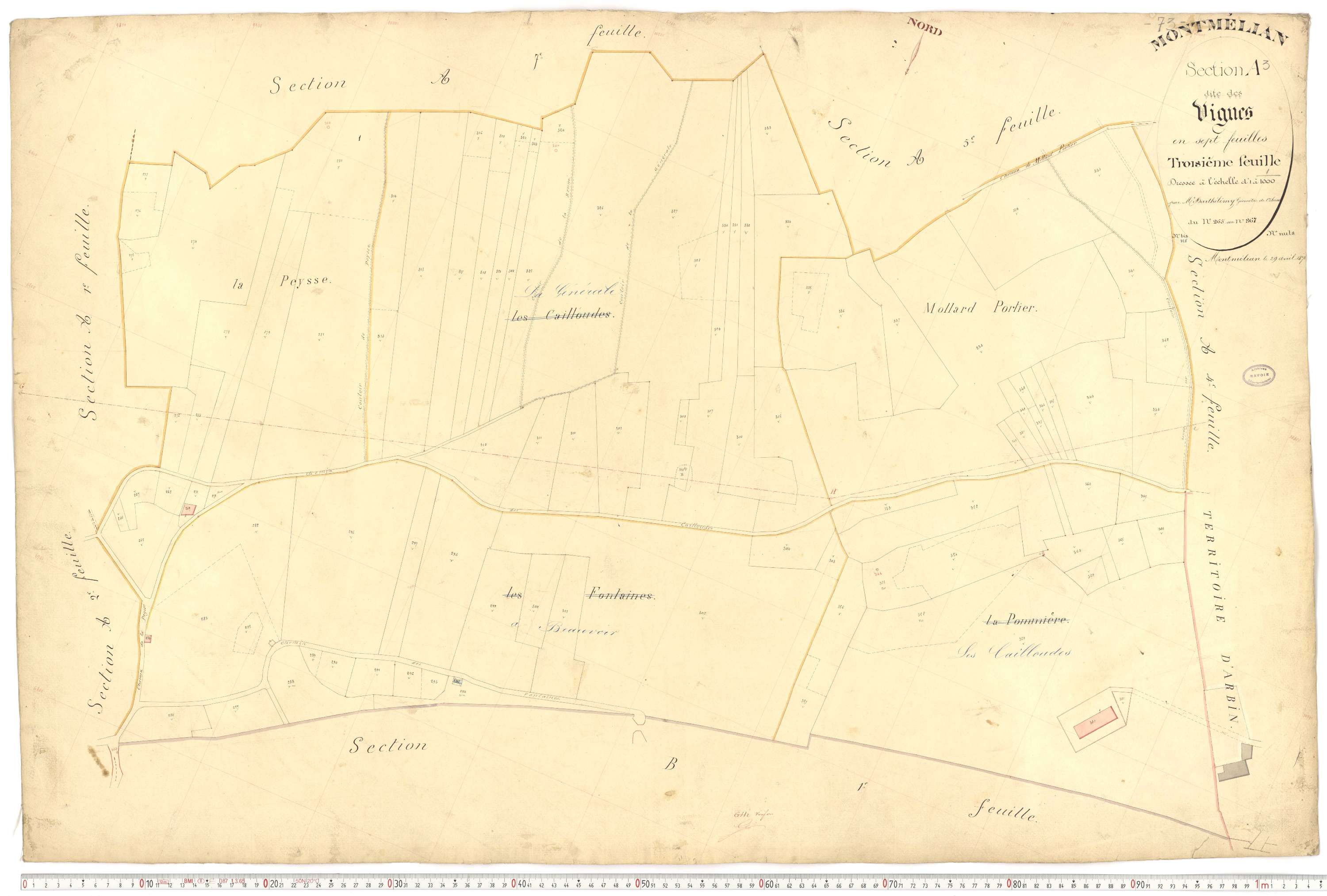 Montmélian - Cadastre français (1876).