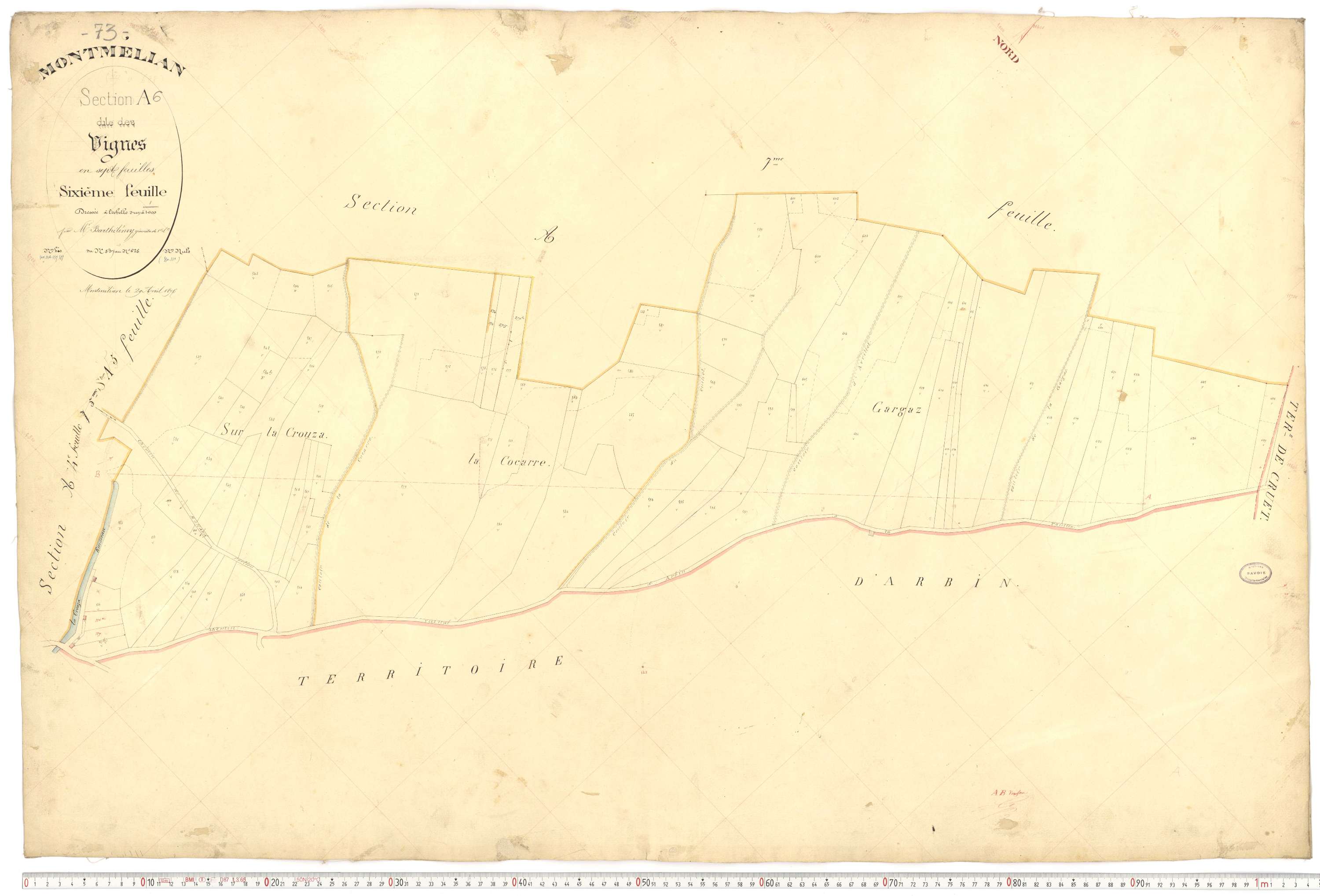 Montmélian - Cadastre français (1876).