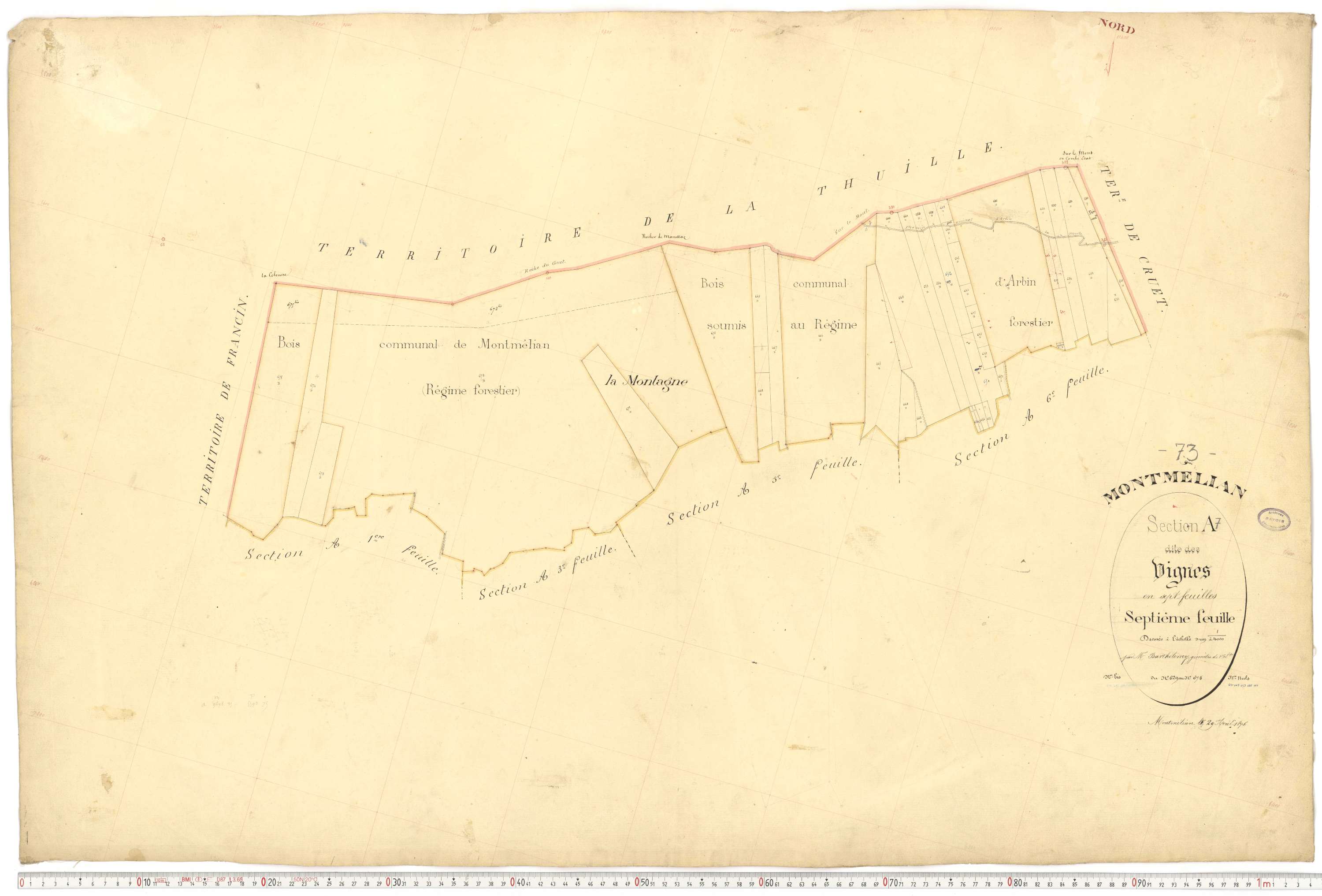 Montmélian - Cadastre français (1876).