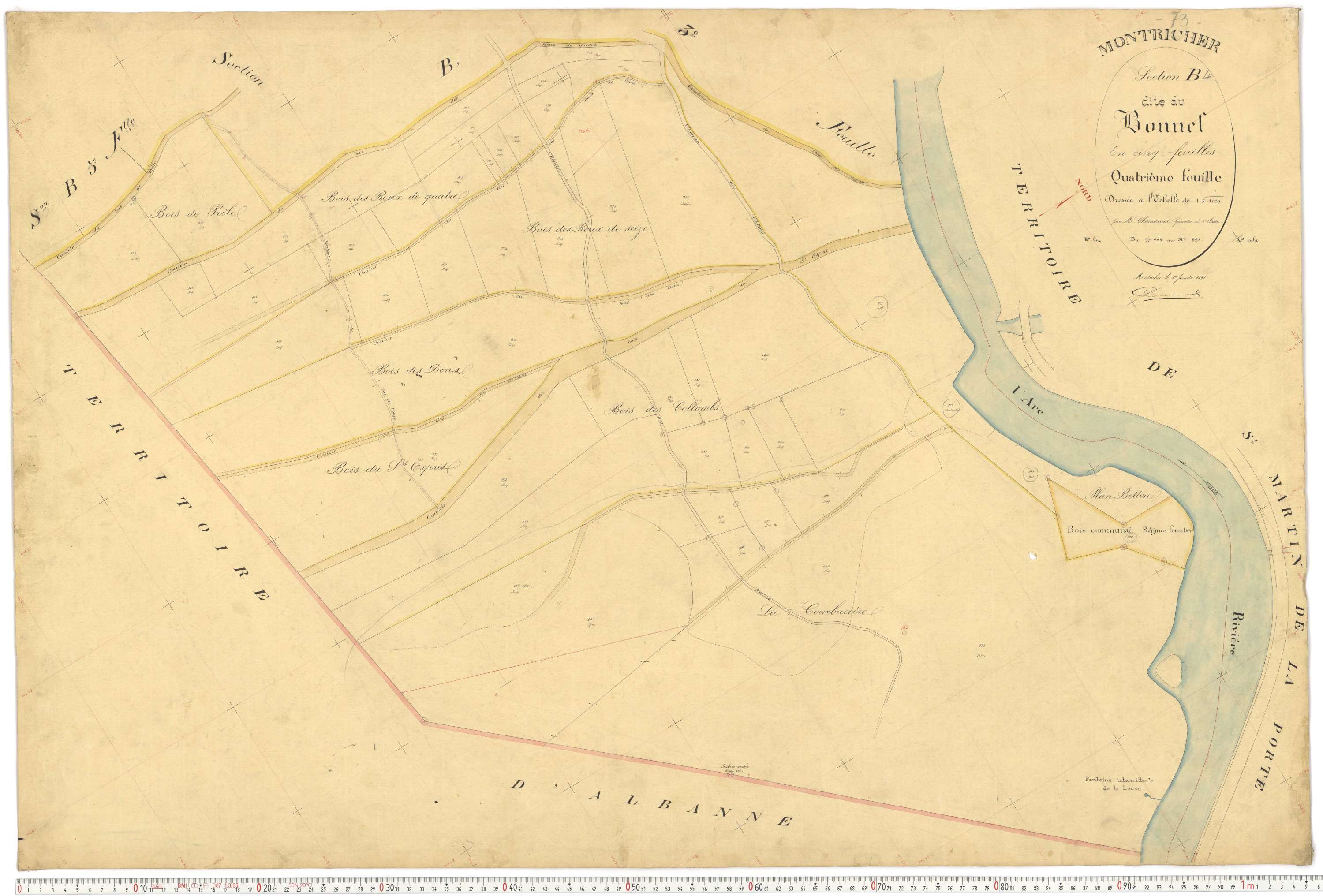 Montricher-Albanne - Plans cadastraux du premier cadastre français.