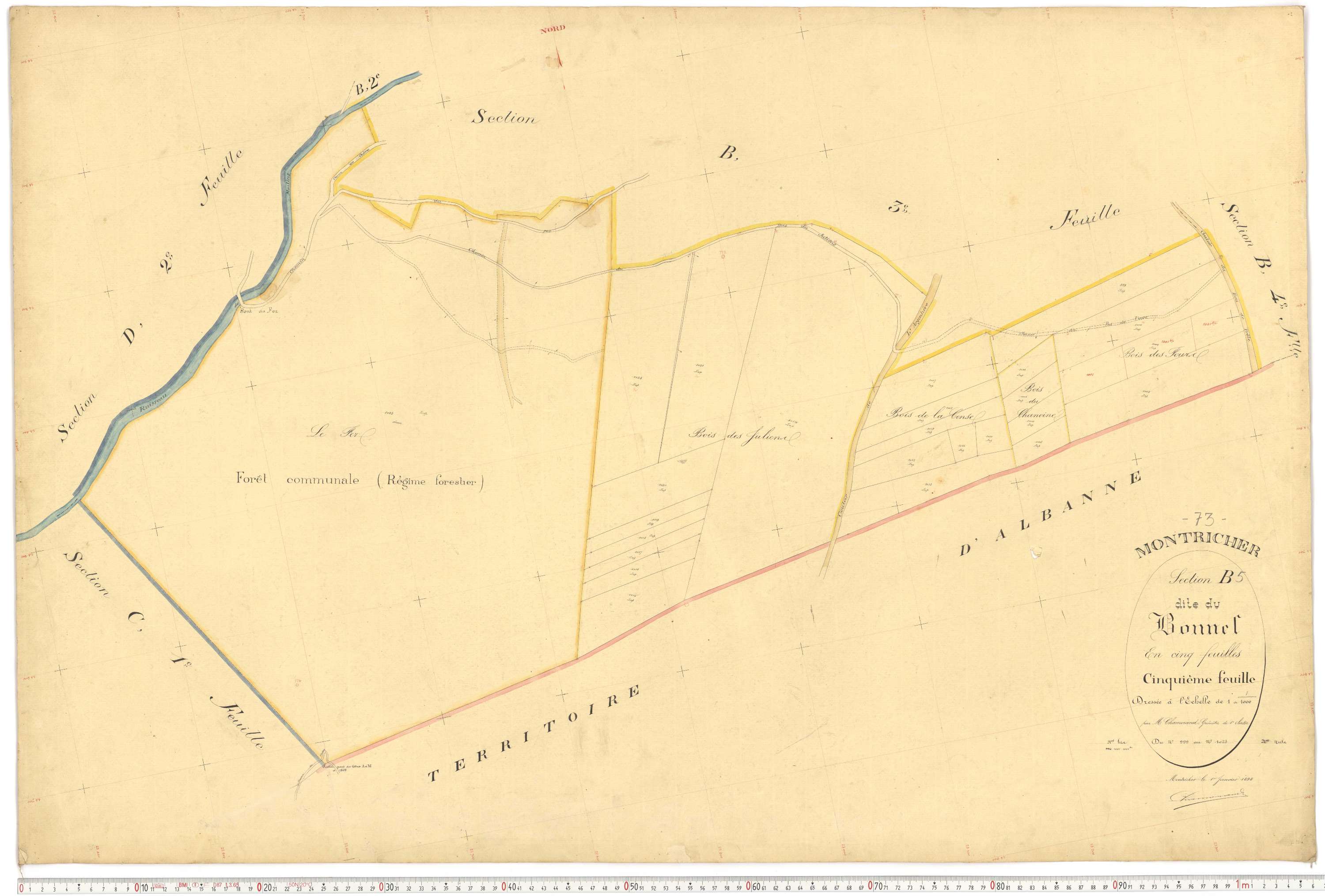 Montricher-Albanne - Plans cadastraux du premier cadastre français.