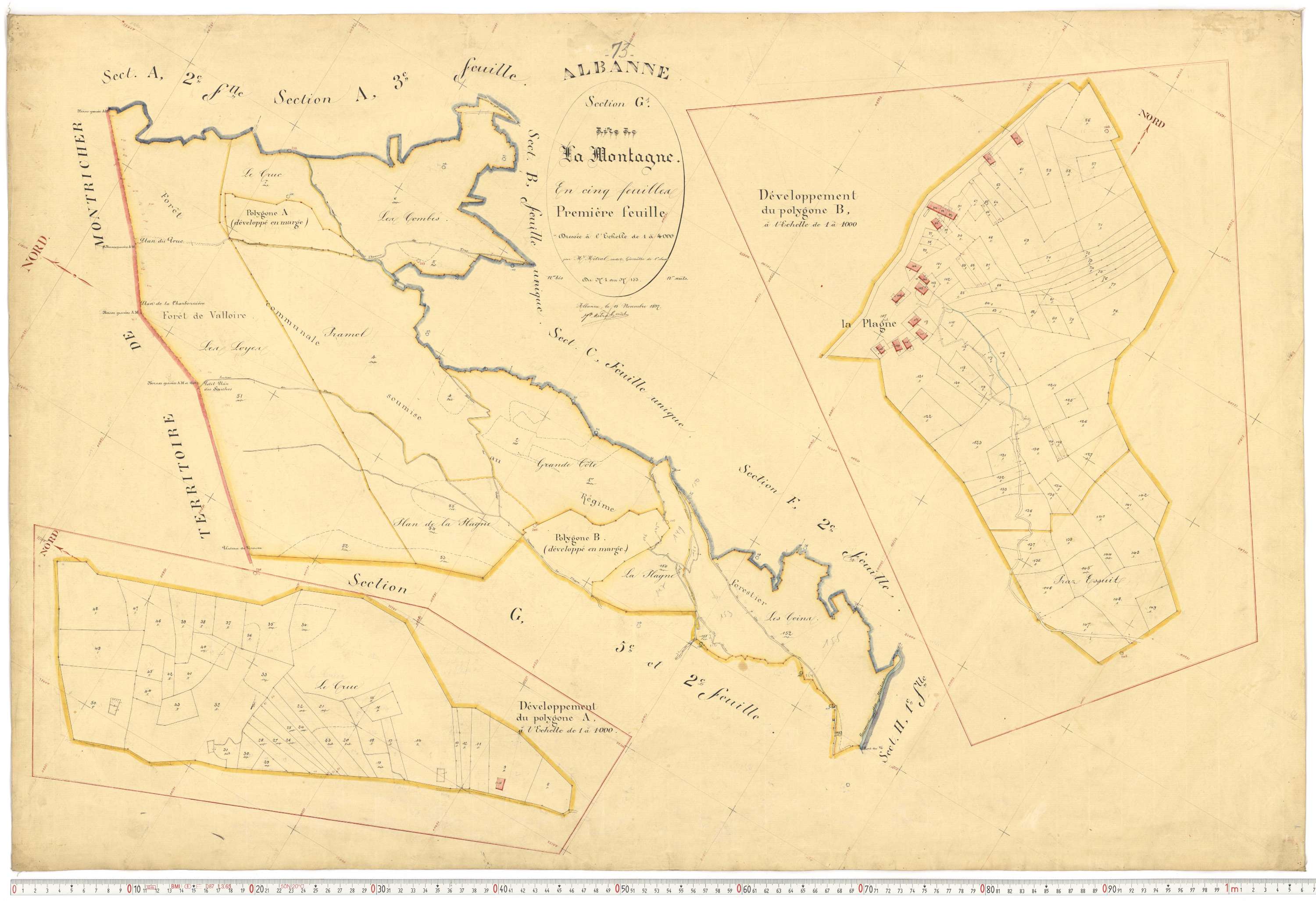 Montricher-Albanne - Plans cadastraux du premier cadastre français.