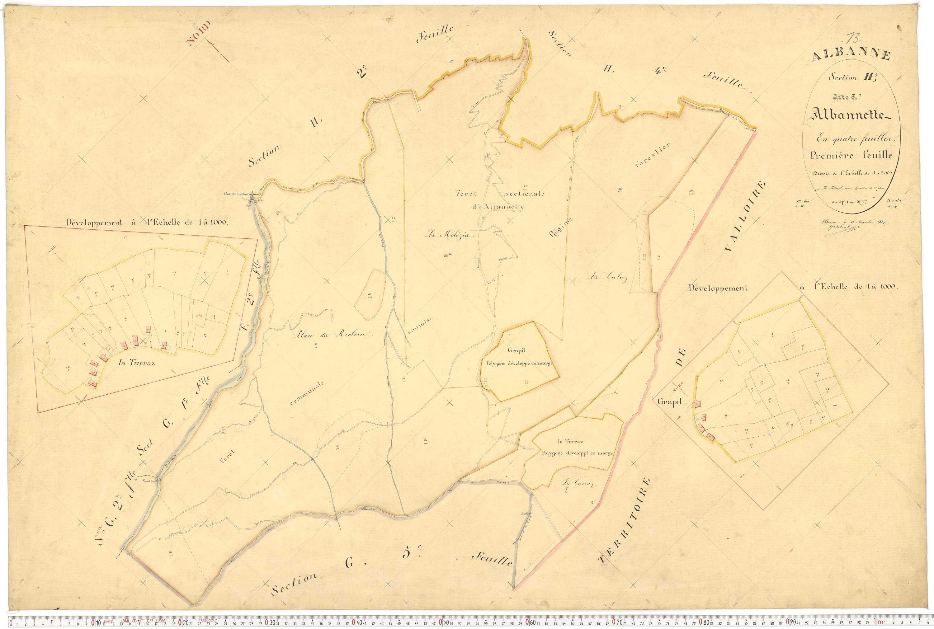 Montricher-Albanne - Plans cadastraux du premier cadastre français.