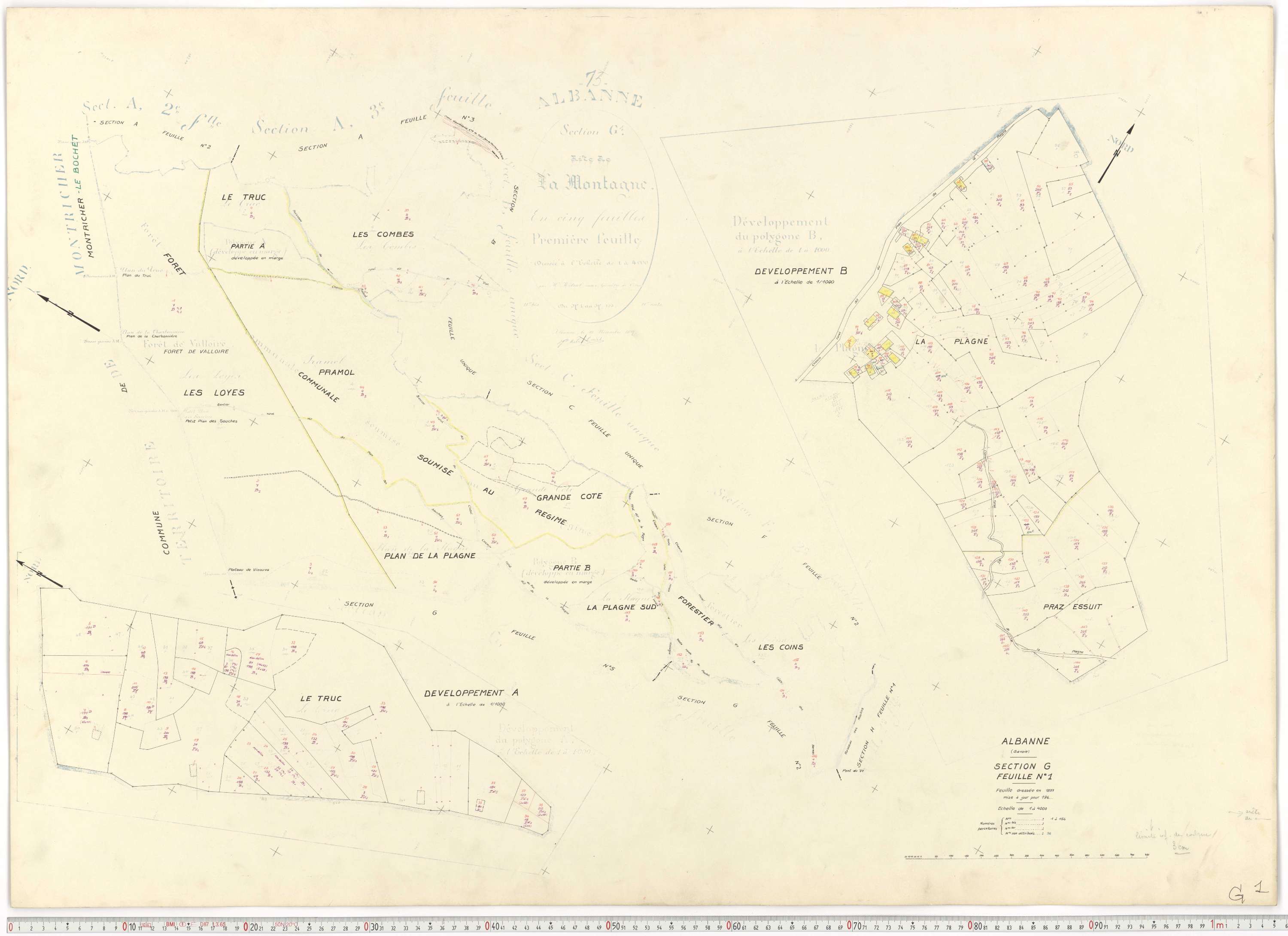 Montricher-Albanne - Plans cadastraux du cadastre rénové.